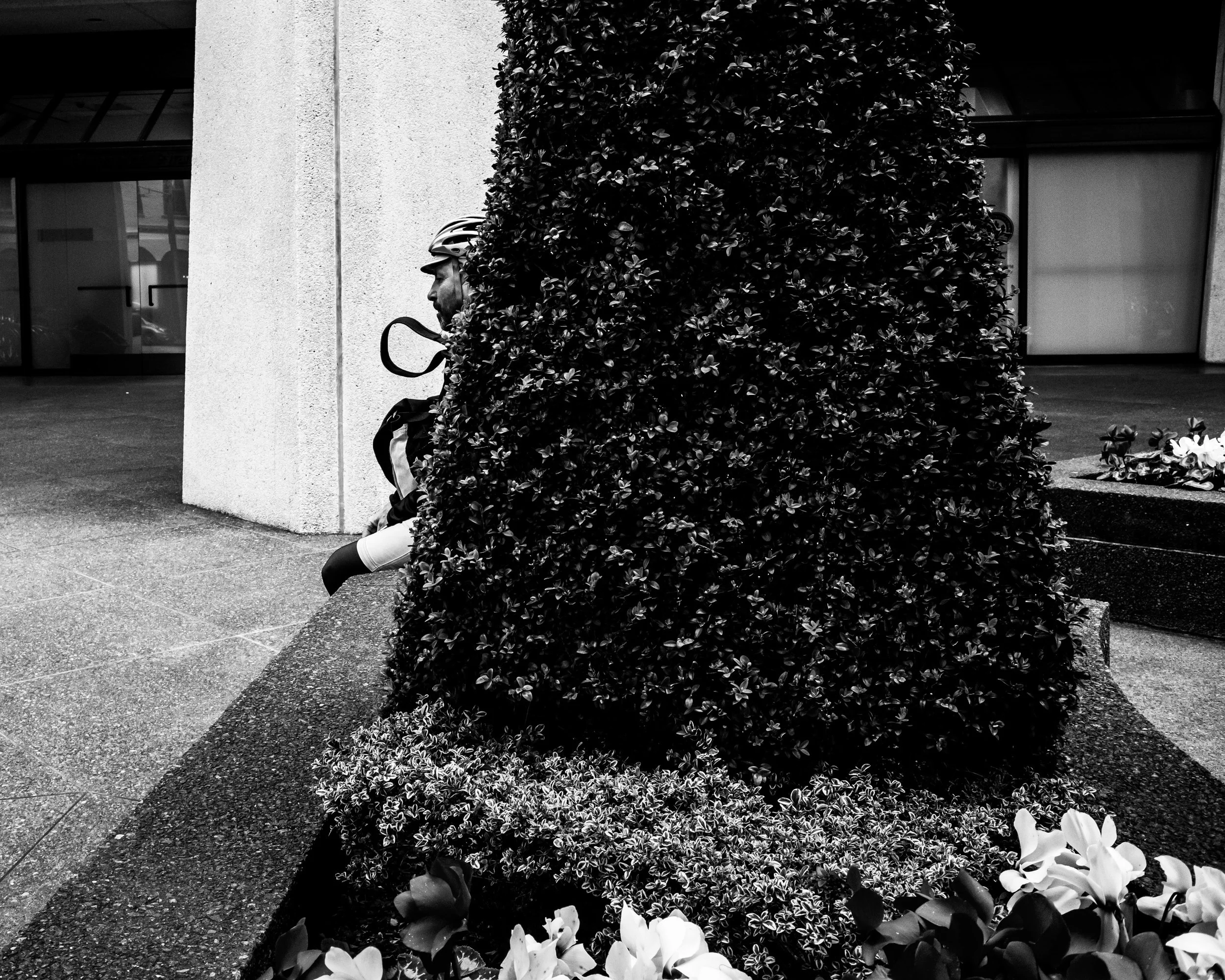 man in bush 2-2.jpg