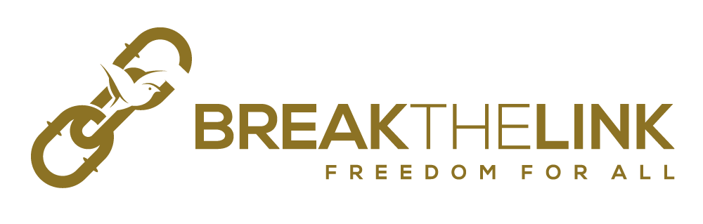 Break the Link.png