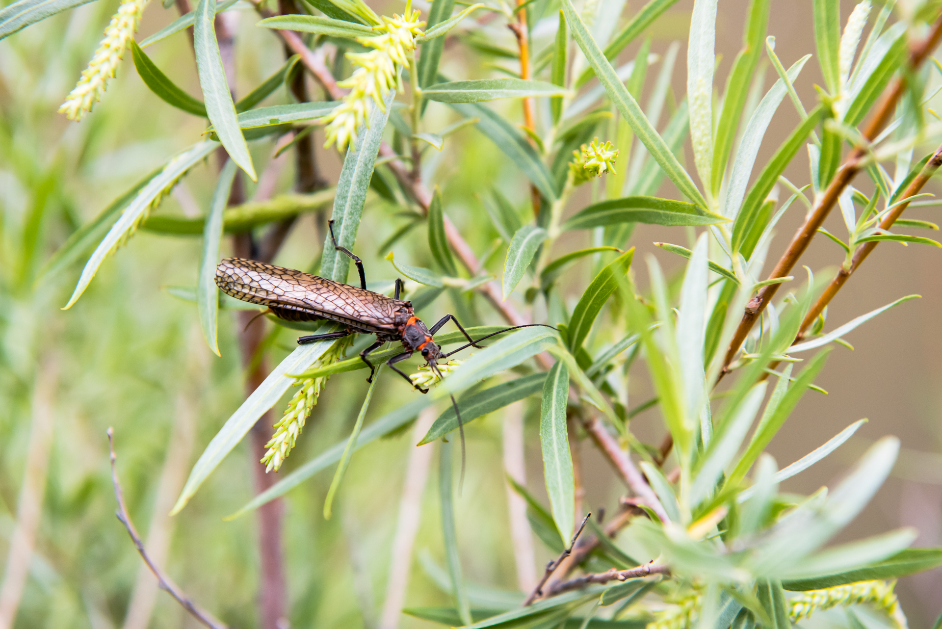 20150606_ShannonOuting_0043.jpg