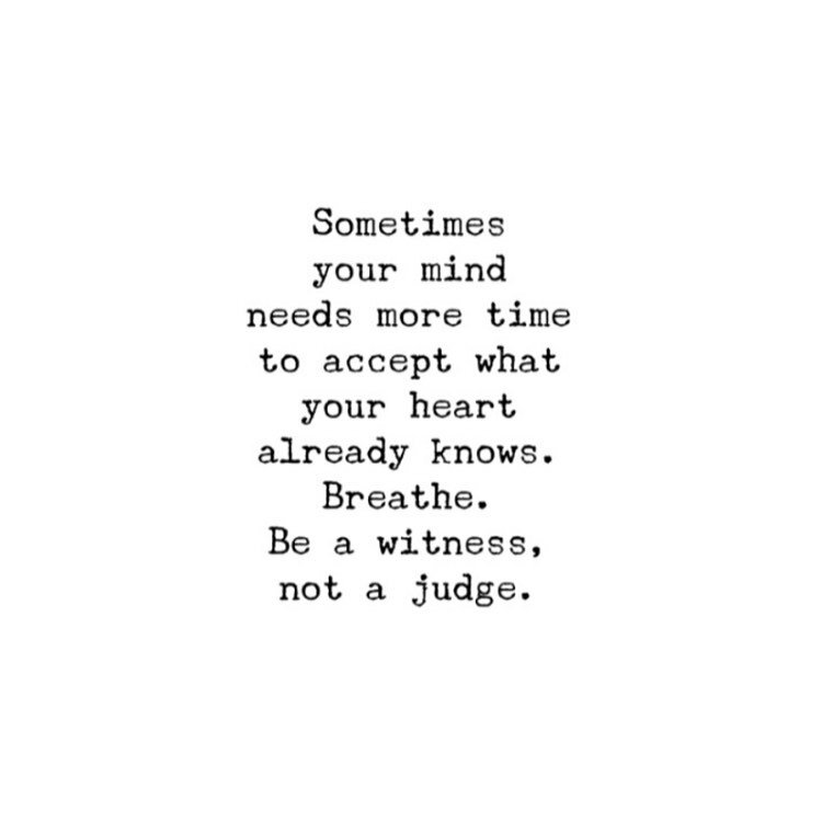 BE GENTLE MY LOVE //
.
.
.
The truth - is we always know. On some deep deeper level, even when it&rsquo;s too painful to acknowledge.
.
.
.
Once we stop hiding from our truth, we start living &lsquo;in real time&rsquo;. We experience more clarity, mo