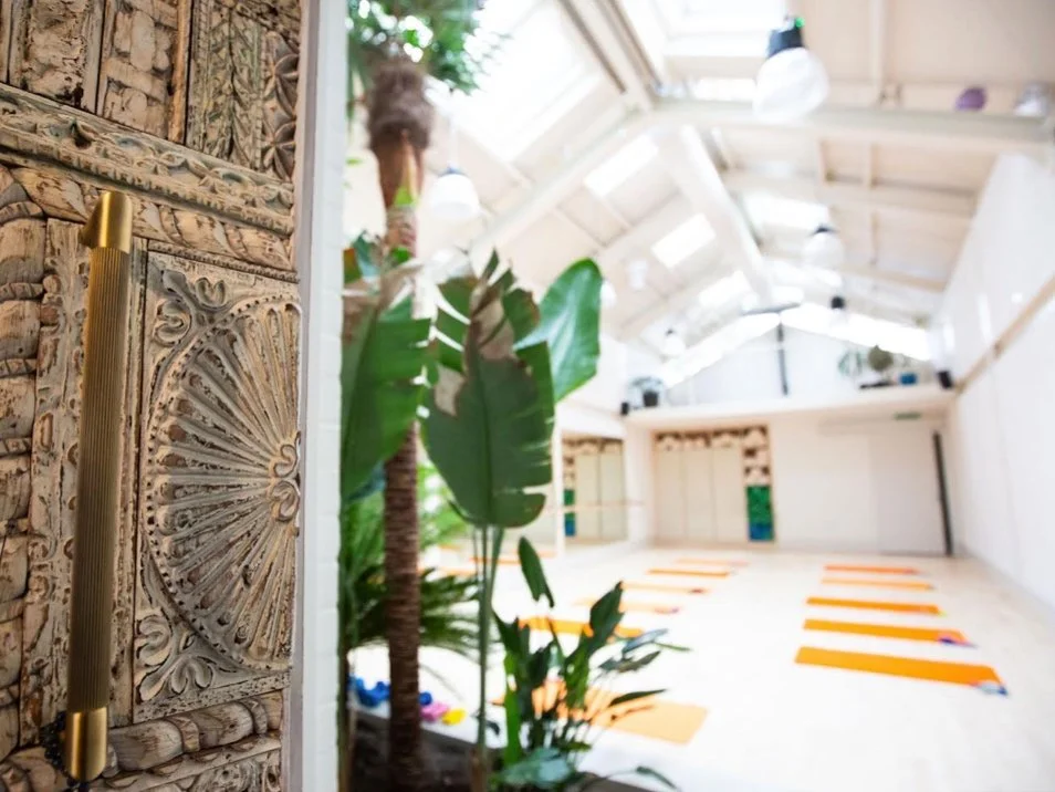 Interior of a bright, airy yoga studio with orange yoga mats laid out on a wooden floor, large windows, and plants near the entrance.