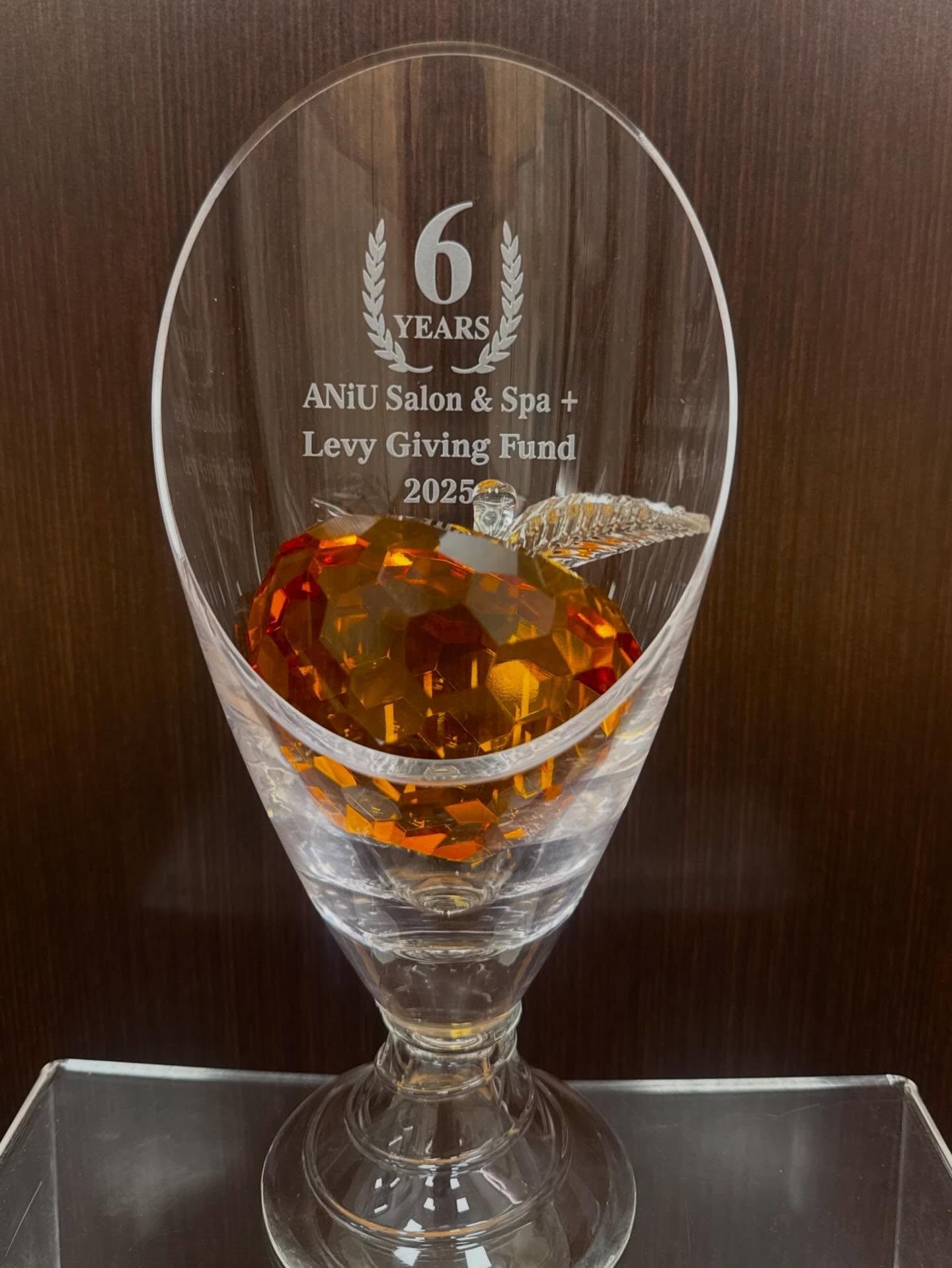 We're beyond proud to have teamed up with @levygivingfund for 6 incredible years! ❤️

The Levy Giving Fund benefits Ronald McDonald House Charities, Gilda's Club, American Family Children's Hospital, and 9 more amazing causes!

Swing by our store any