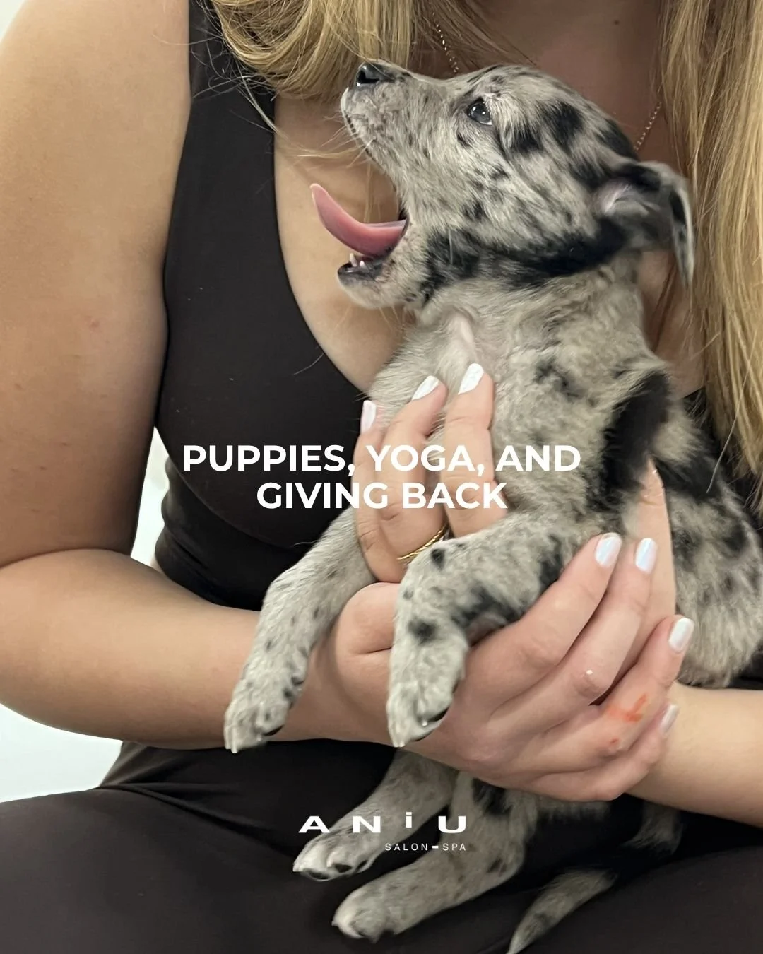 From puppy cuddles to community connection, it was such a special day for our team.
ㅤ
Together, we raised over $1,300 to help rescue pups in need 🐾
ㅤ
Thank you for showing up, supporting local, and helping us make a difference 💫
ㅤ
#madisonwi #puppy
