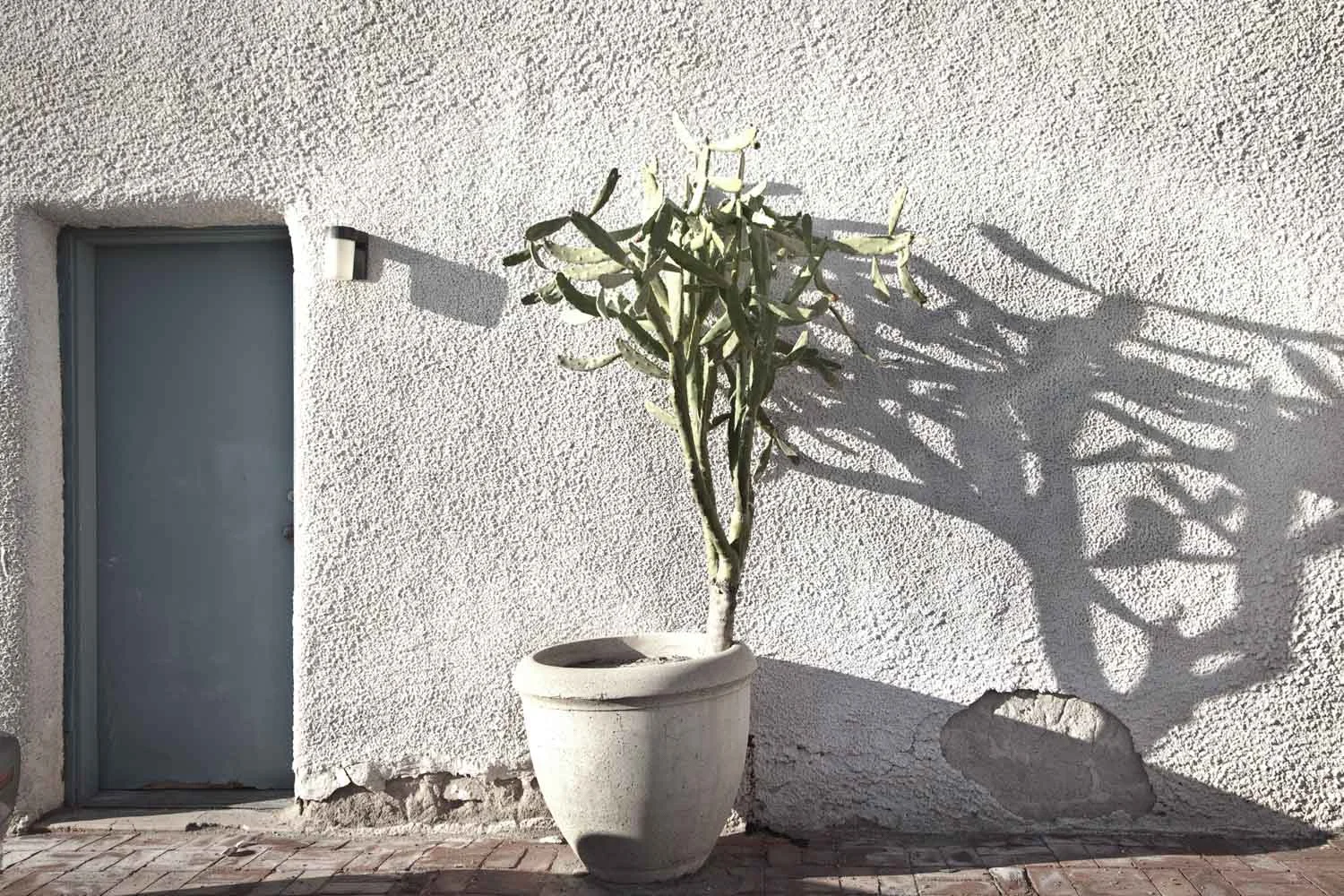 Openings_Website_Image-6.jpg