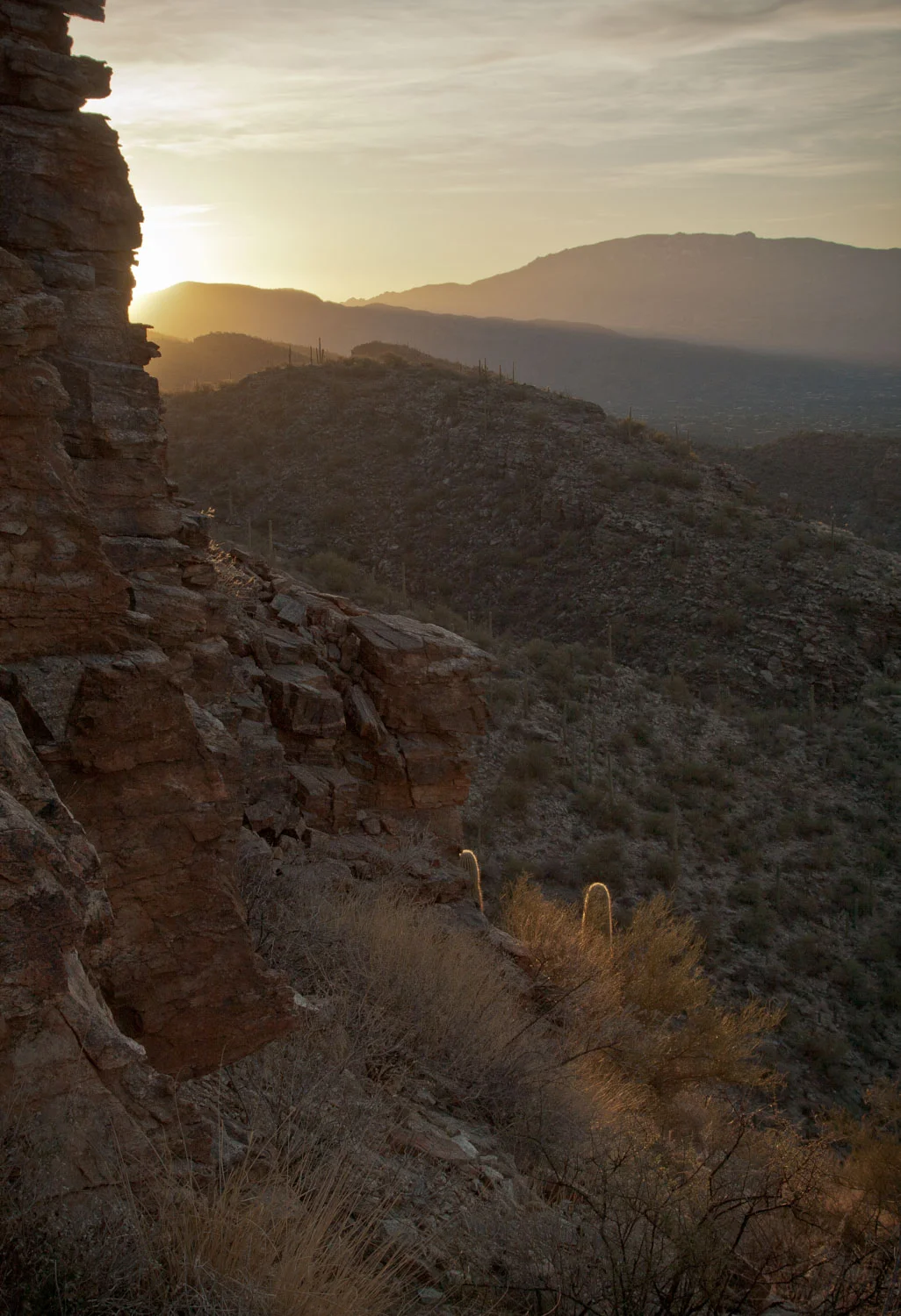 Landscapes_Website_Image-2.jpg