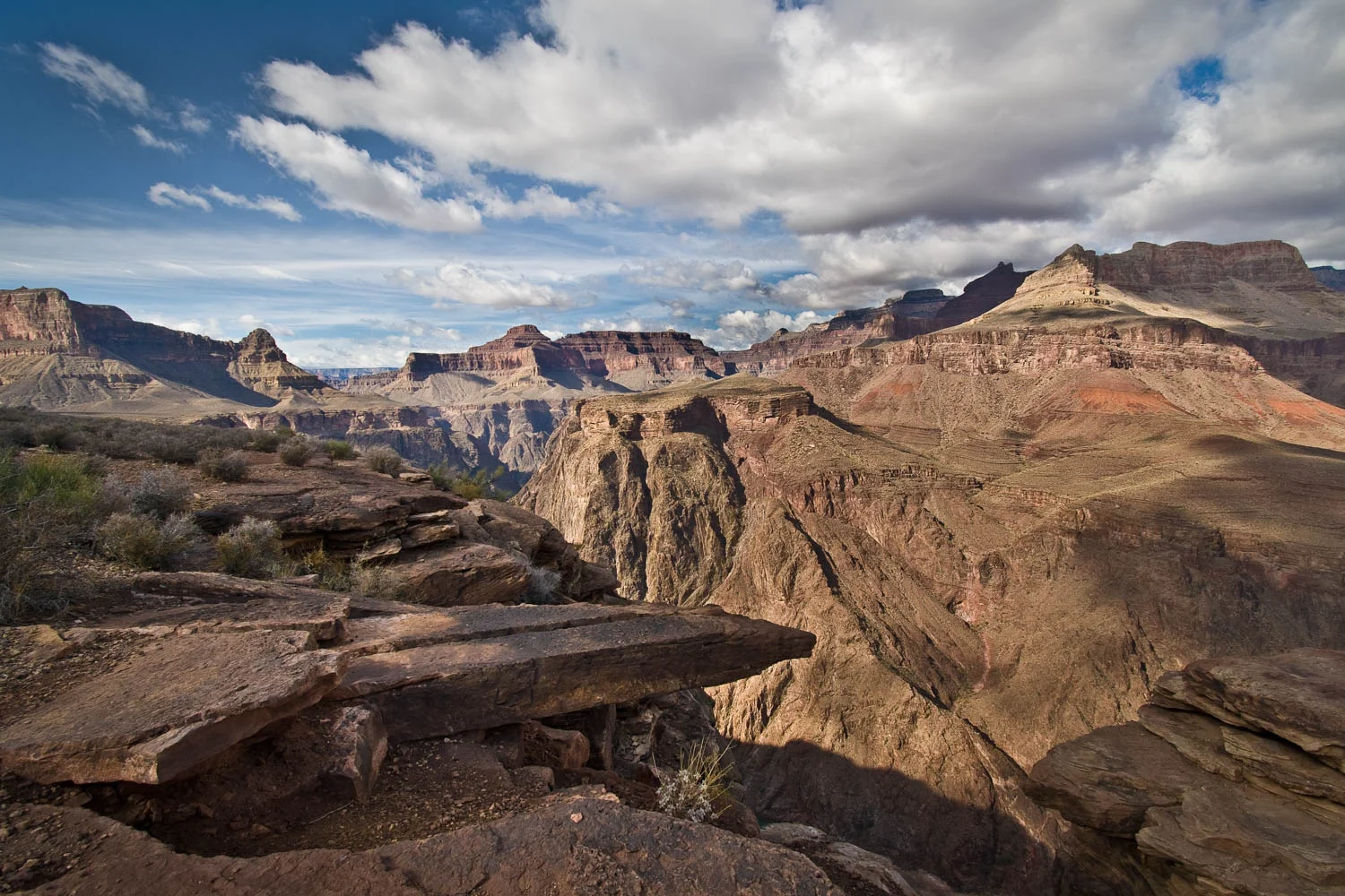 Landscapes_Website_Image-6.jpg