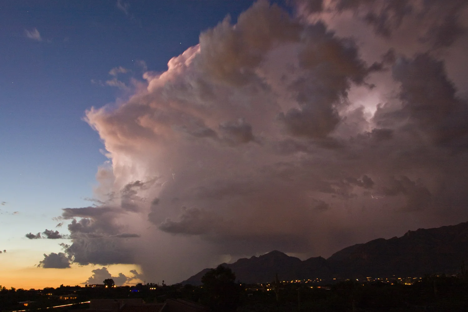 Landscapes_Website_Image-9.jpg