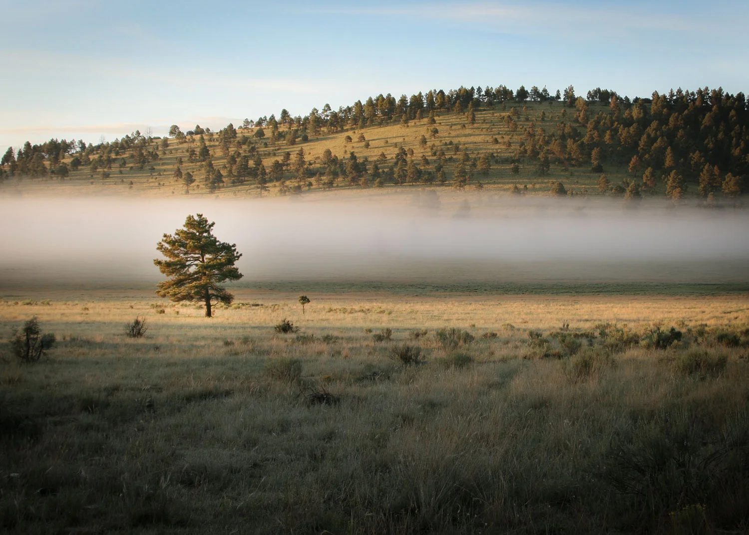Landscapes_Website_Image-15.jpg