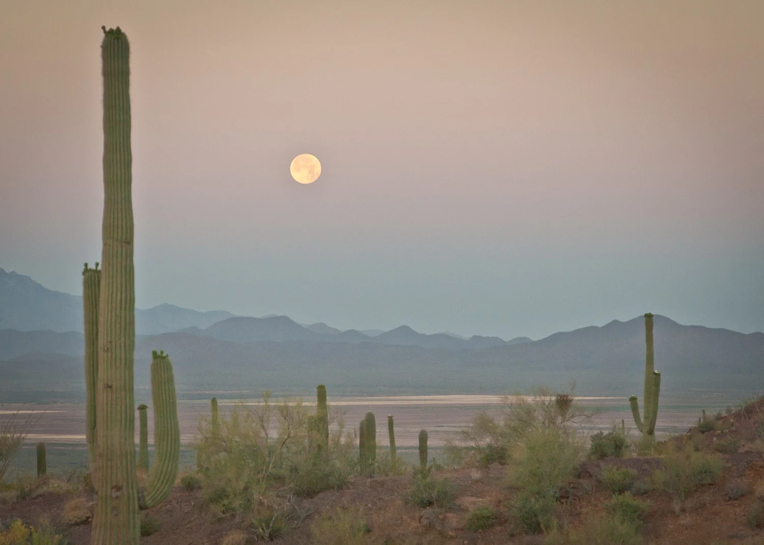 Landscapes_Website_Image-16.jpg