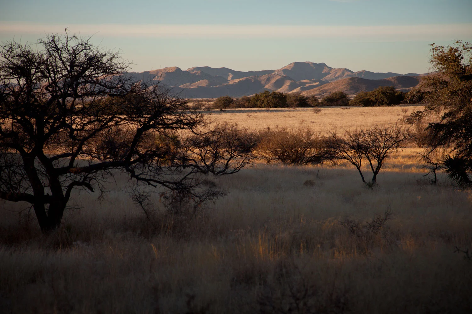 Landscapes_Website_Image-18.jpg