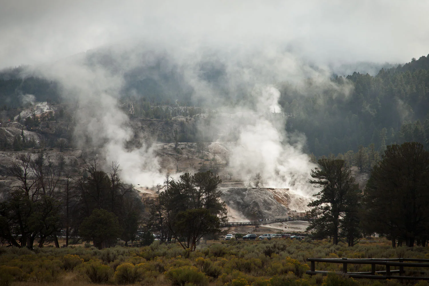 Trip_West_Website_Image-13.jpg
