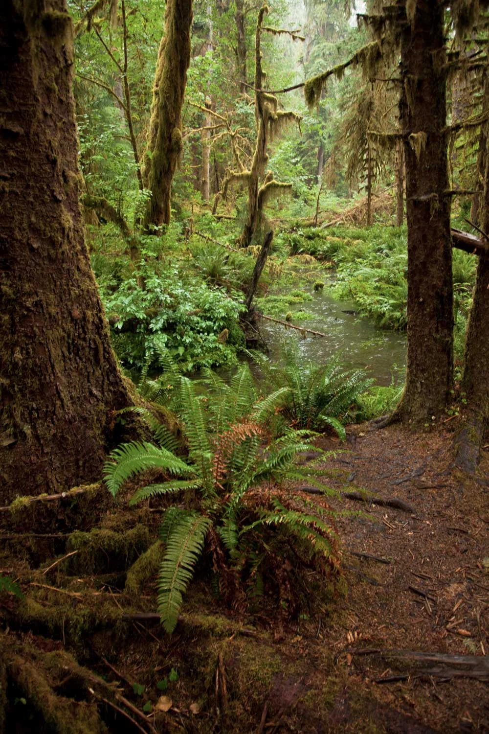 Trip_West_Website_Image-30.jpg