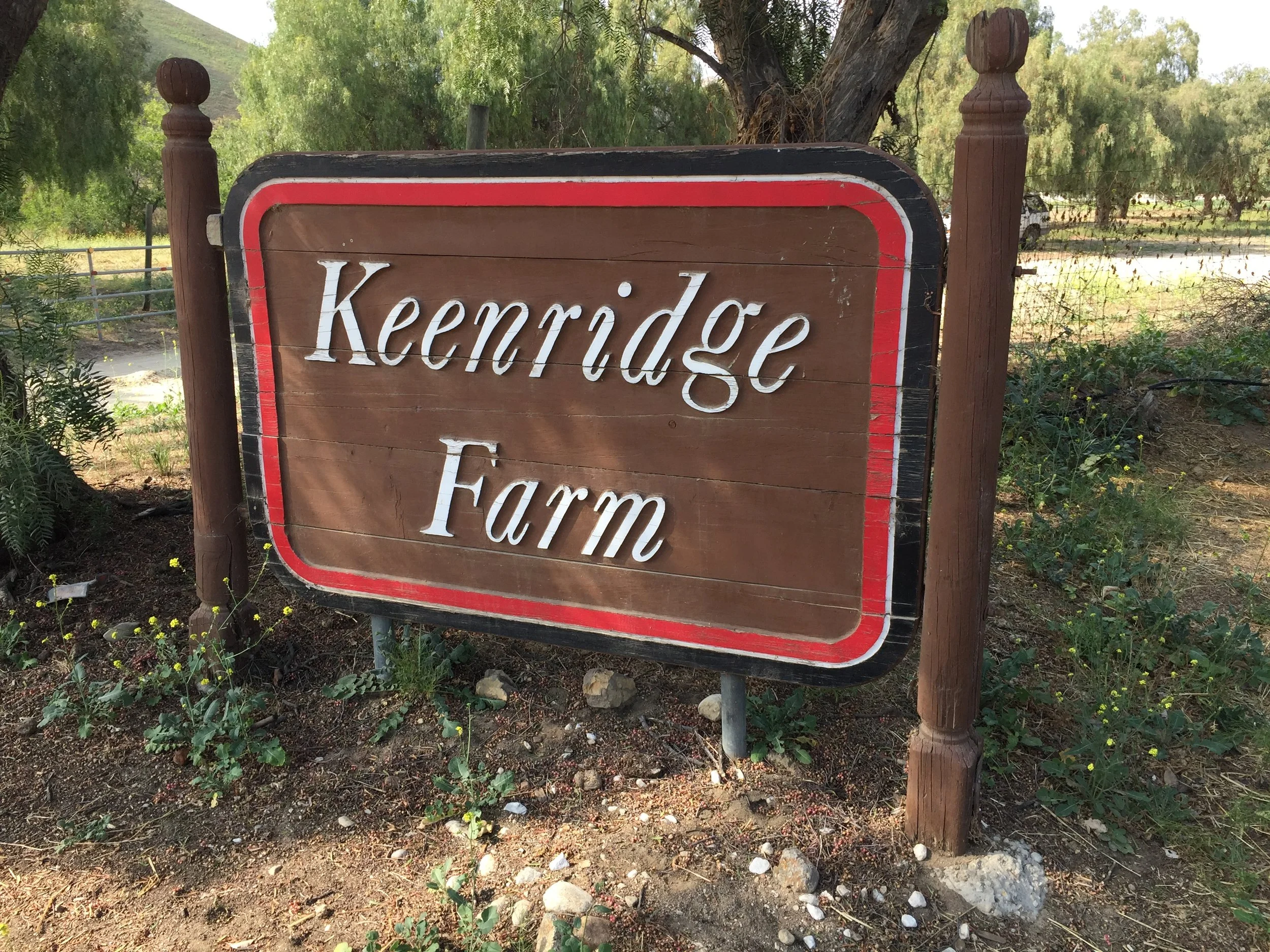 keenridge.jpg