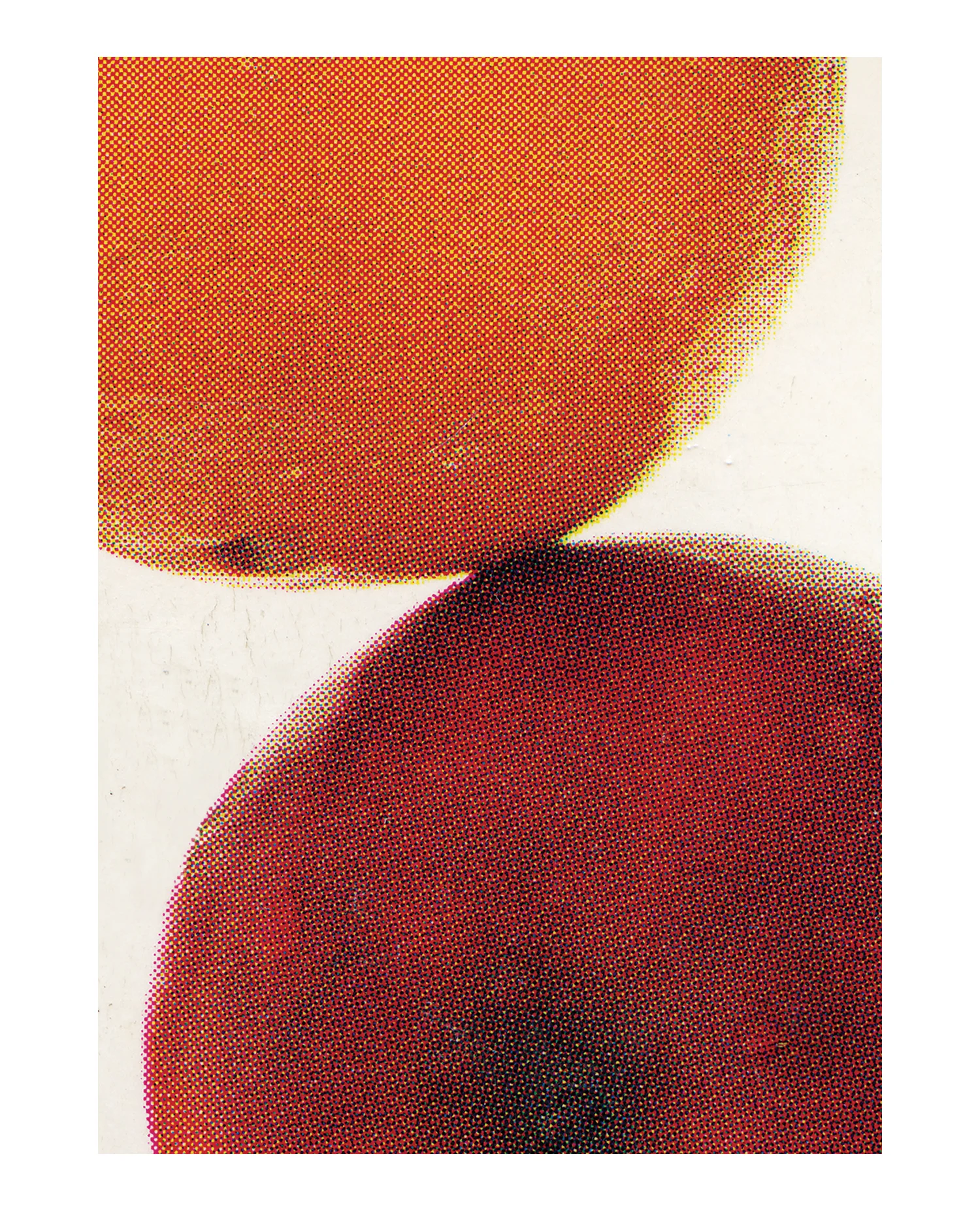 instinctive_nutrition_cmyk_poster_aysia_stieb_apples_oranges_2016.jpg
