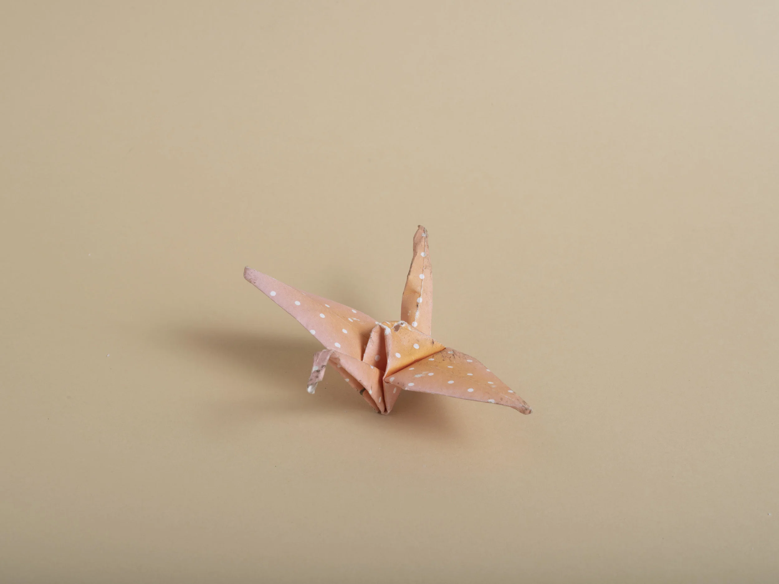Andres Gonzalez American Origami Group Study 1.jpg