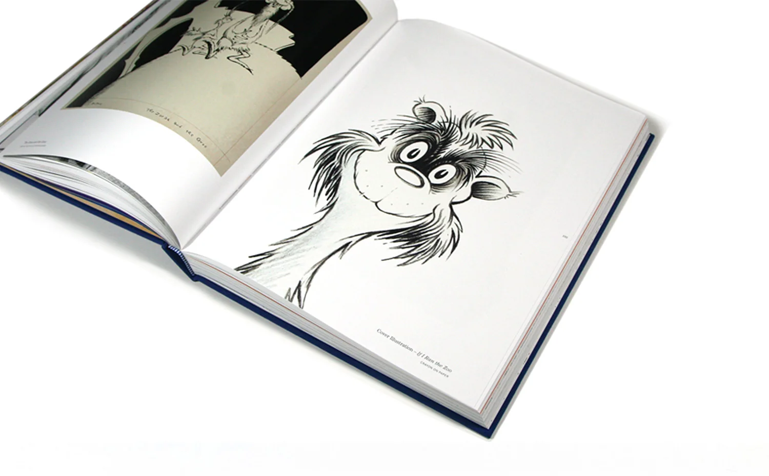 Seuss_Book12b.jpg