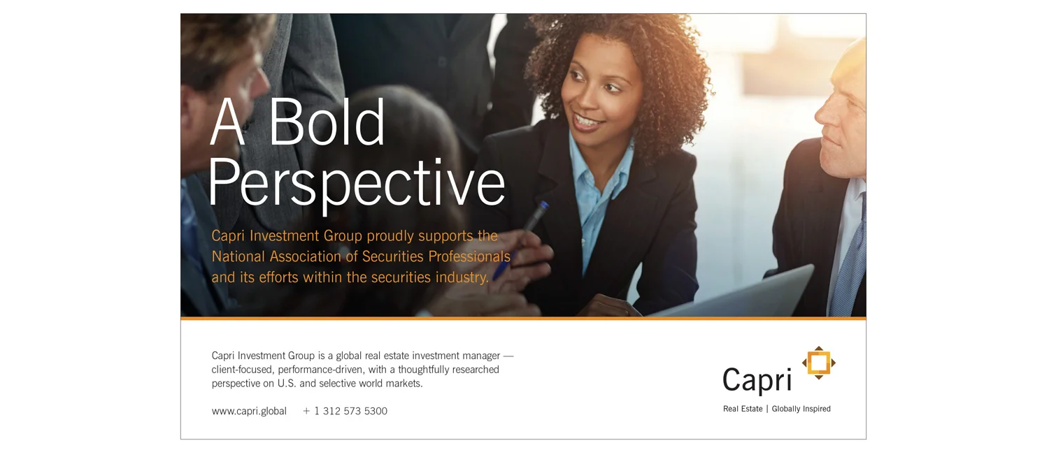 Print Ad Campaign 
