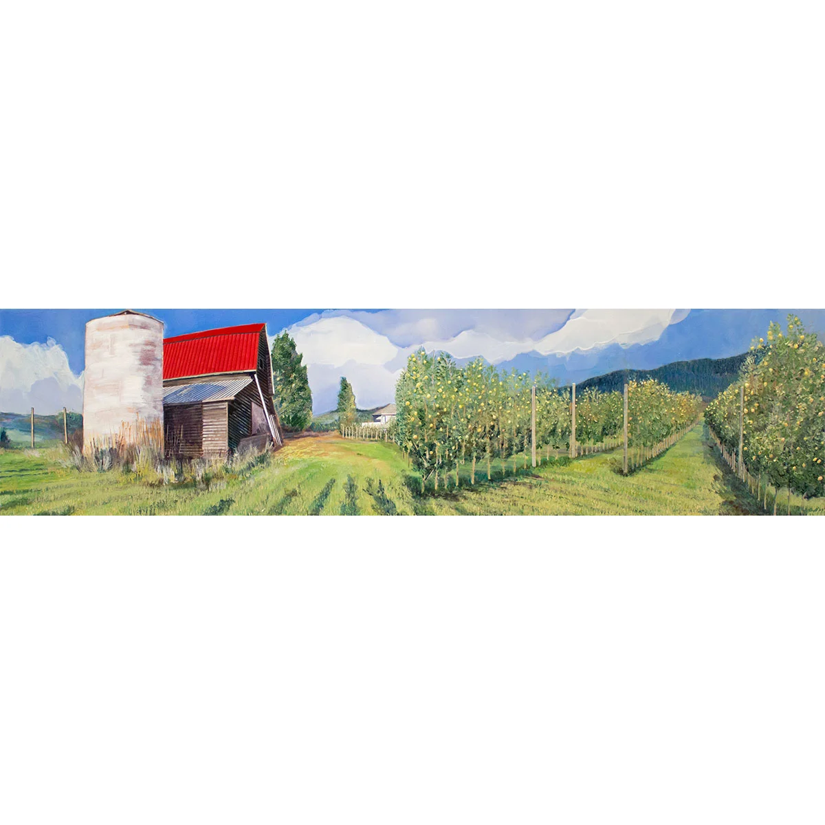 Cider