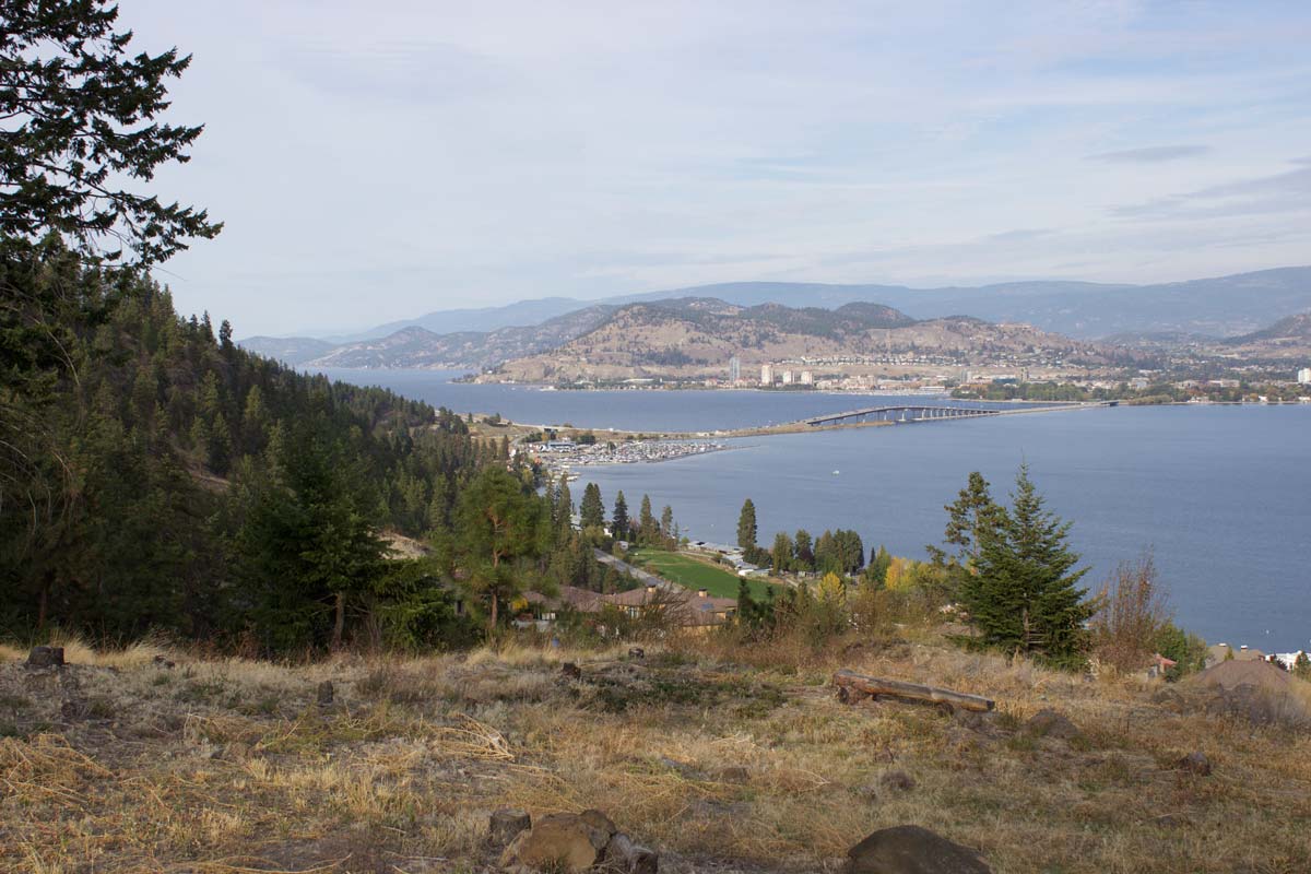 IMG_1582-web.jpg