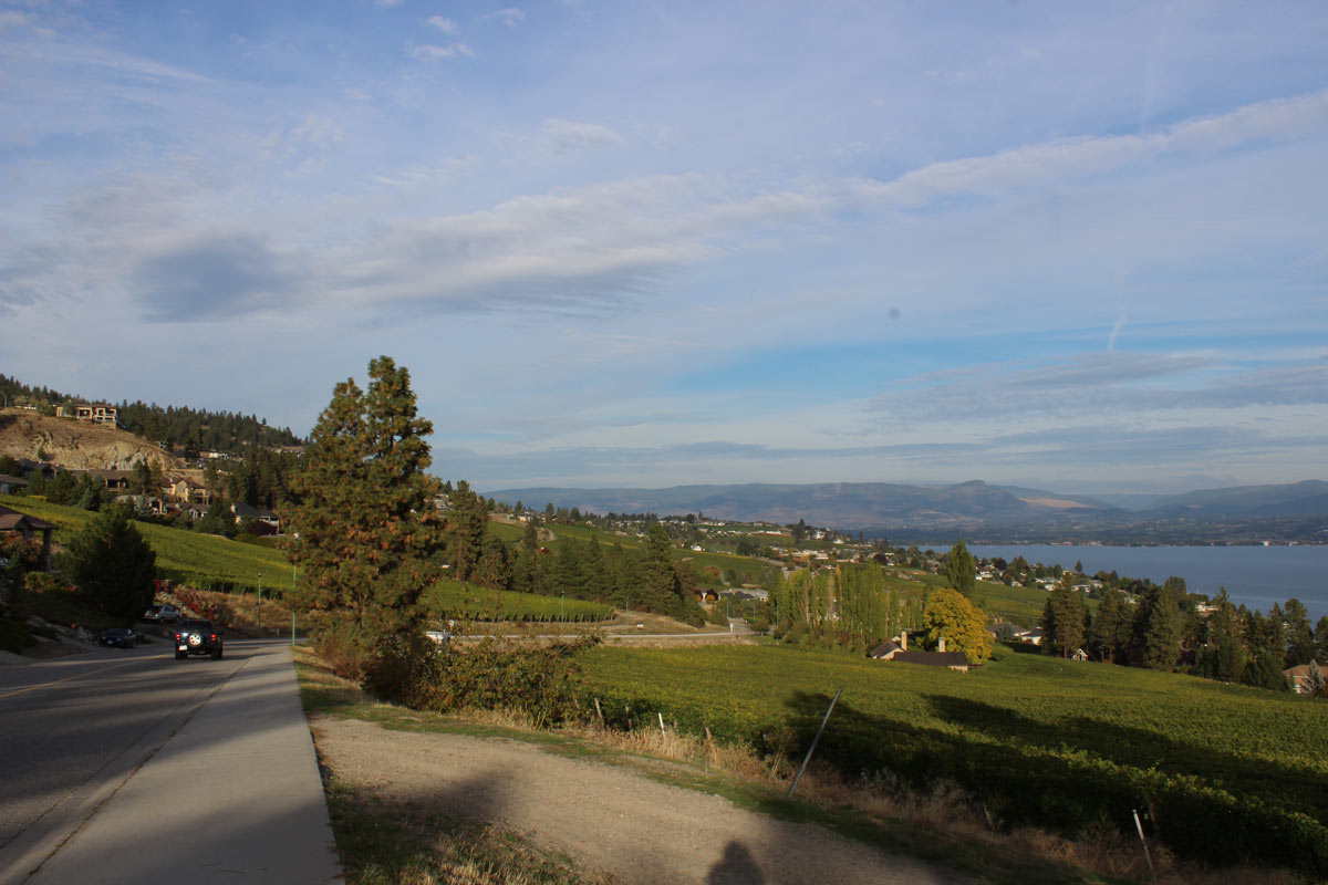 IMG_1622-web.jpg