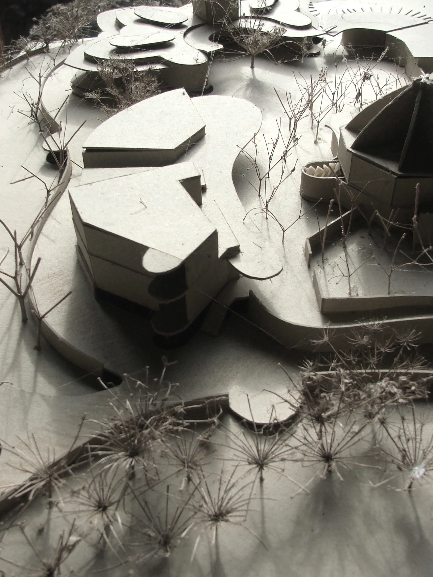 architectural model, de bortoli winery masterplan