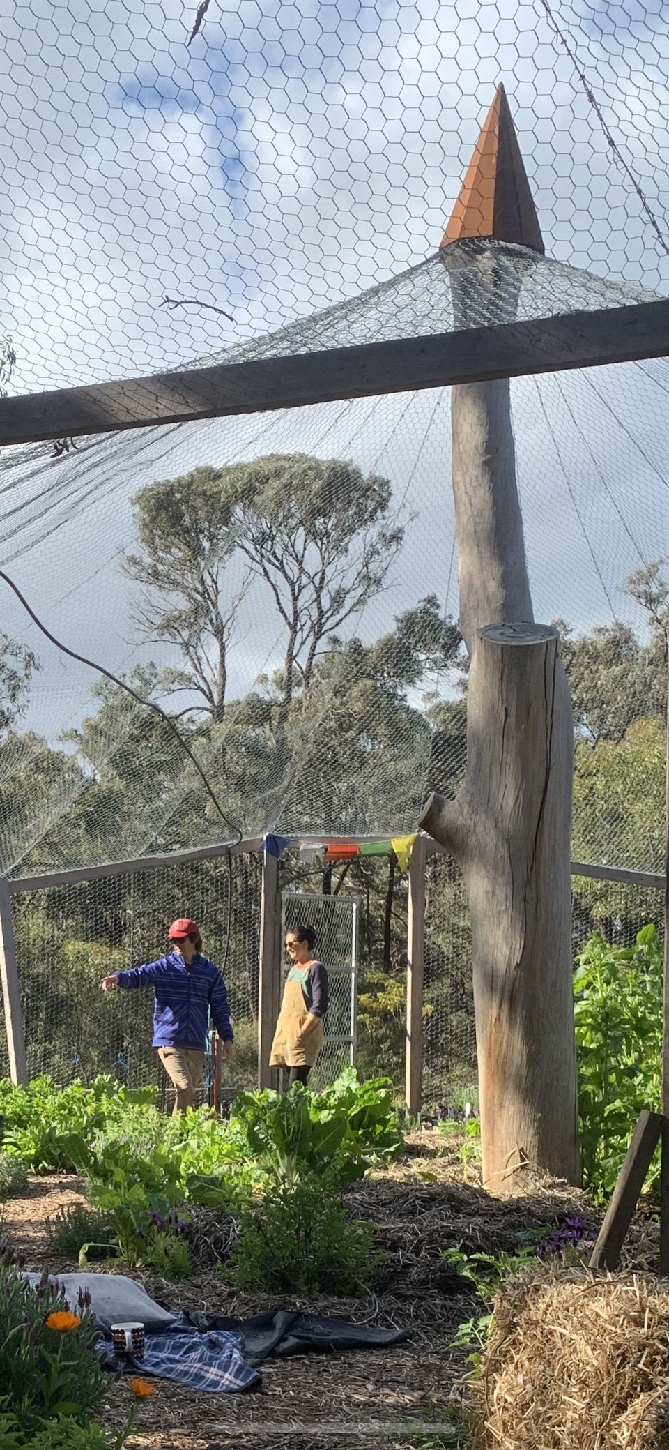 IMG_2536 tara jak.PNG