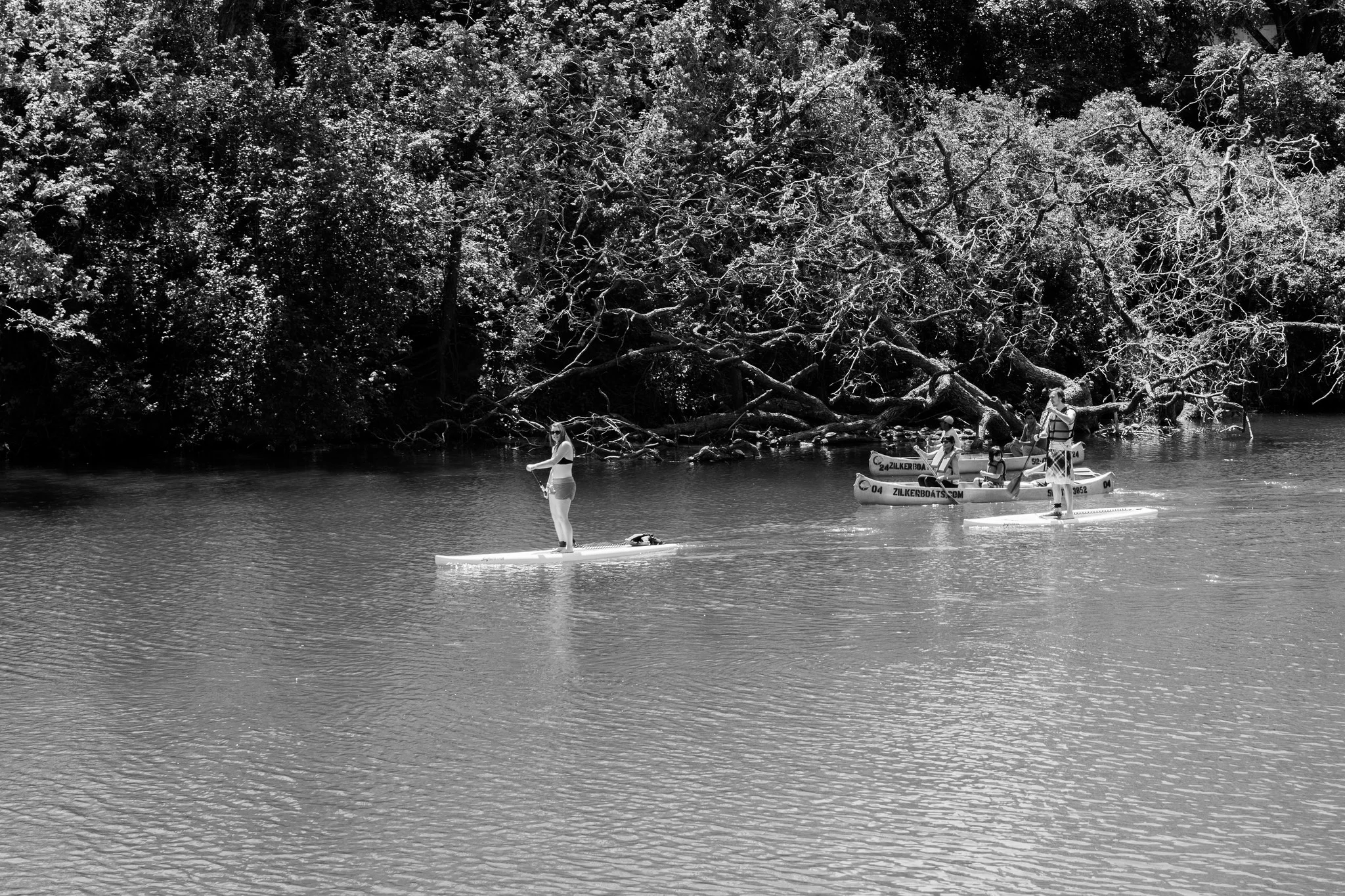 Paddling Down Lady Bird Lake. Austin Texas. 