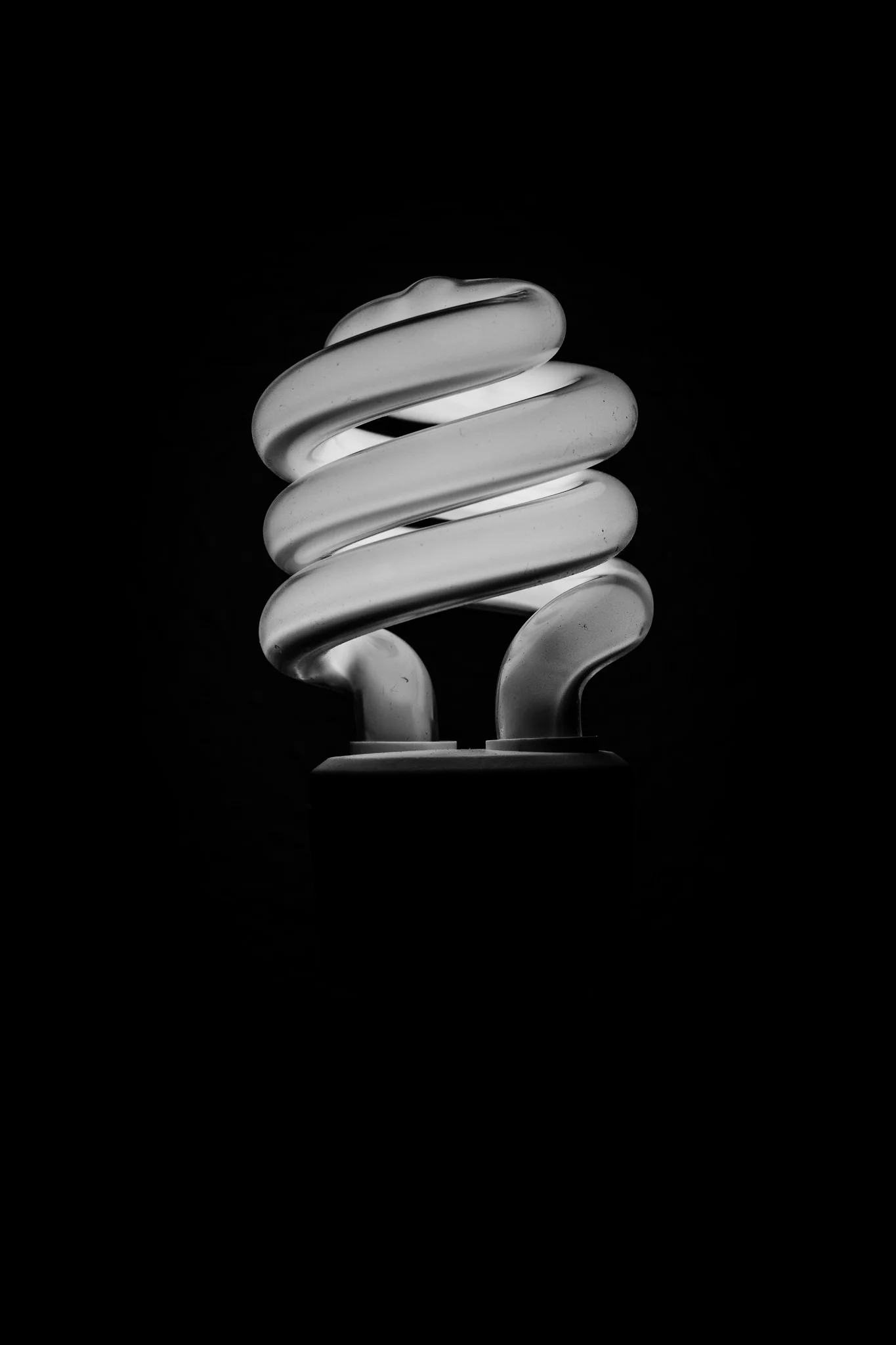 lightbulb3.jpg