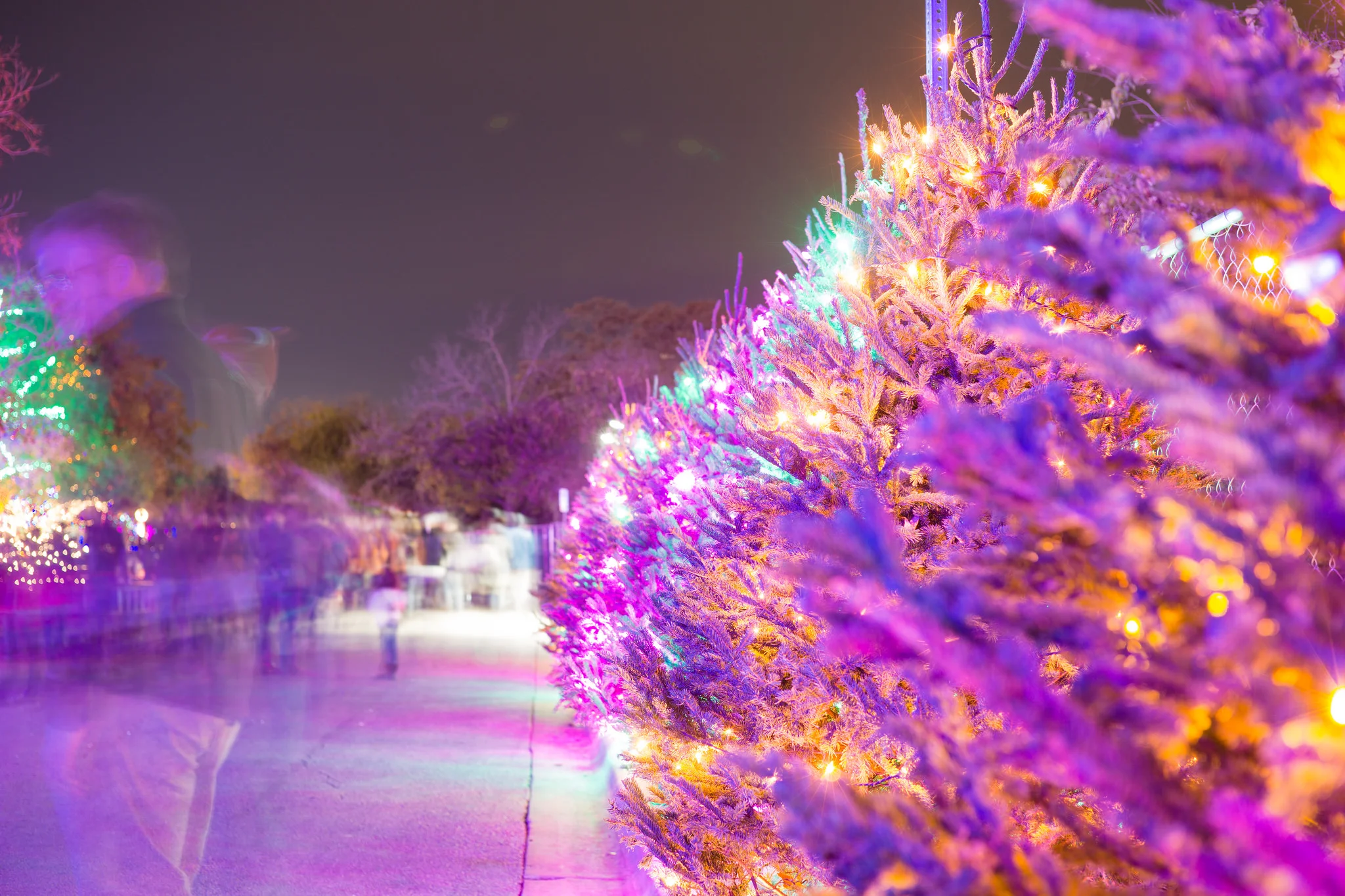  The Trail of Light in Austin, TX 