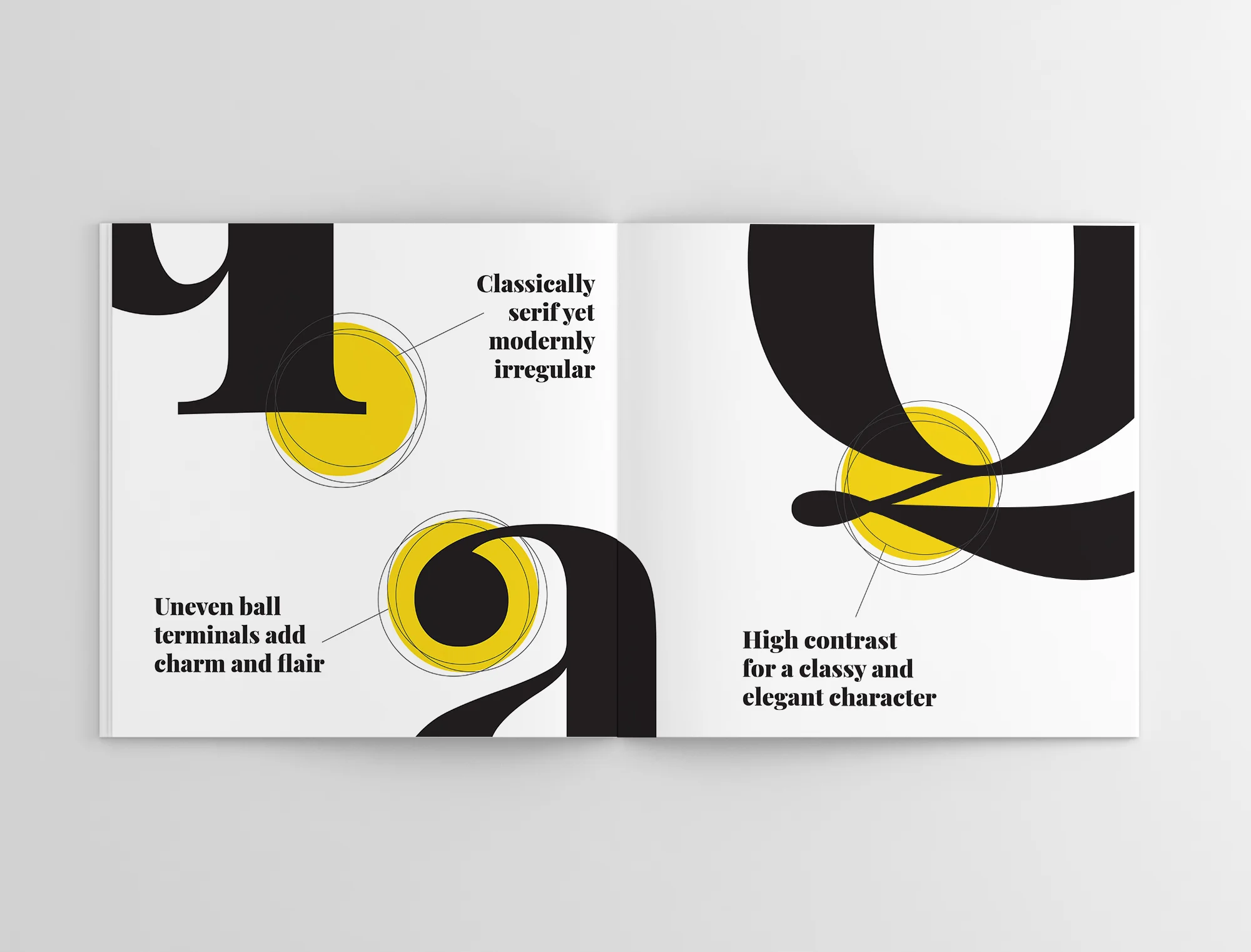 spread3.jpg