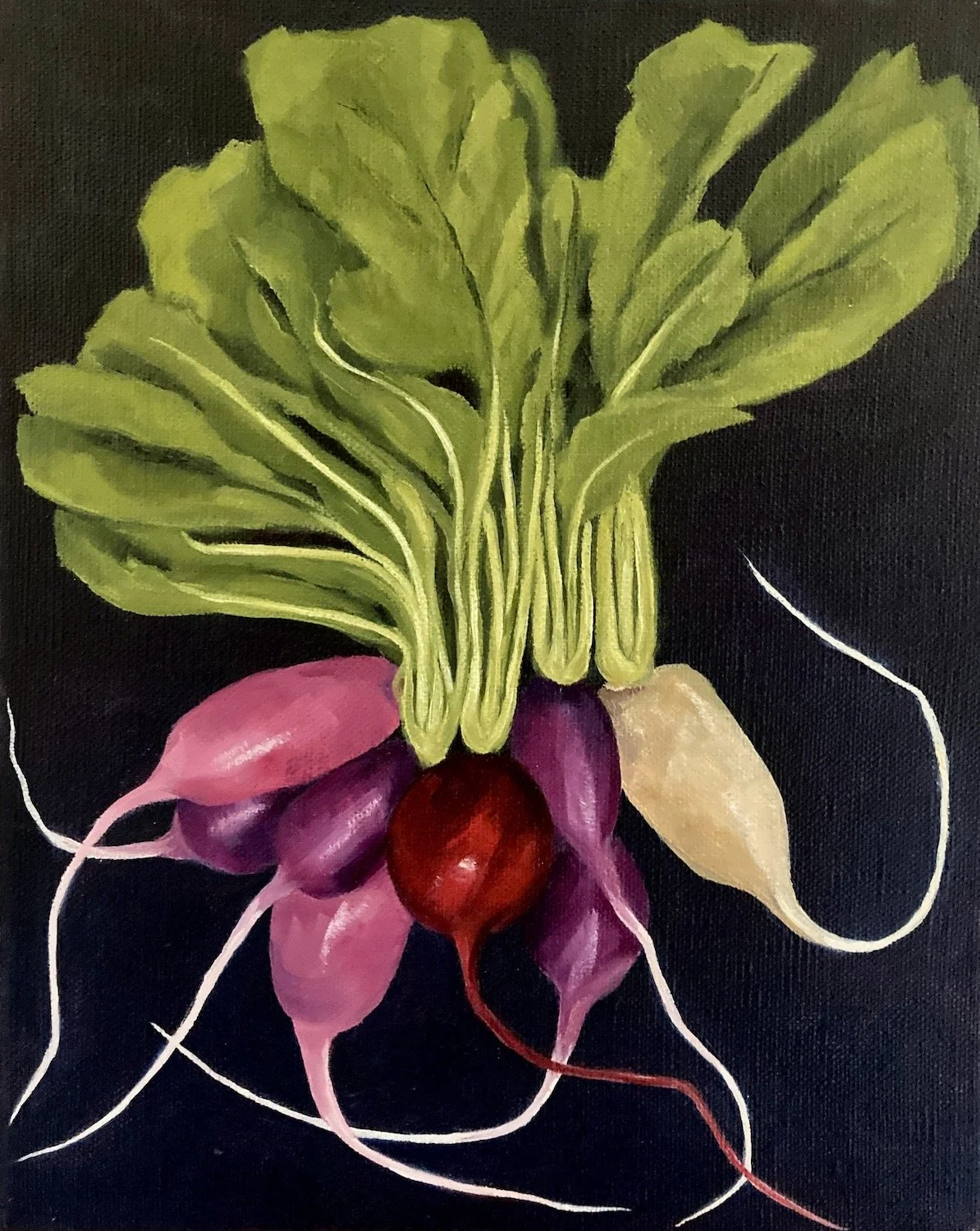 Radishes<br>oil on linen<br>9" x 11"<br>2021