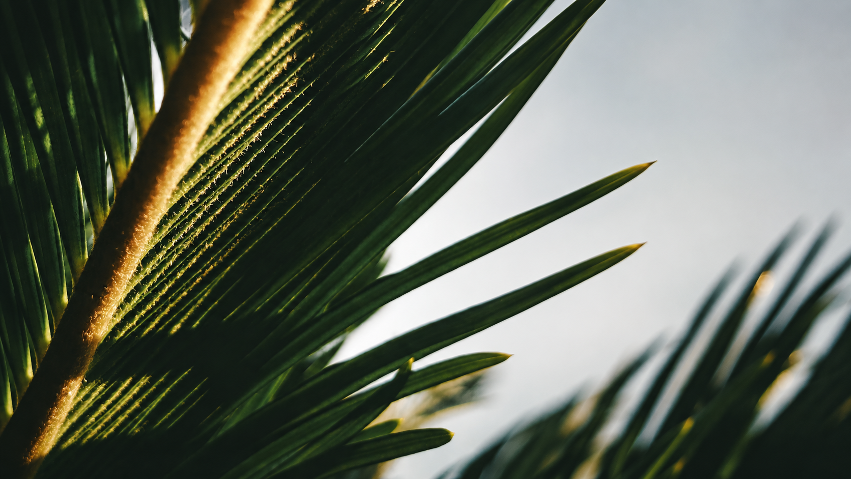 ChatGPT Image May 19, 2026, 06_13_07 PM.png