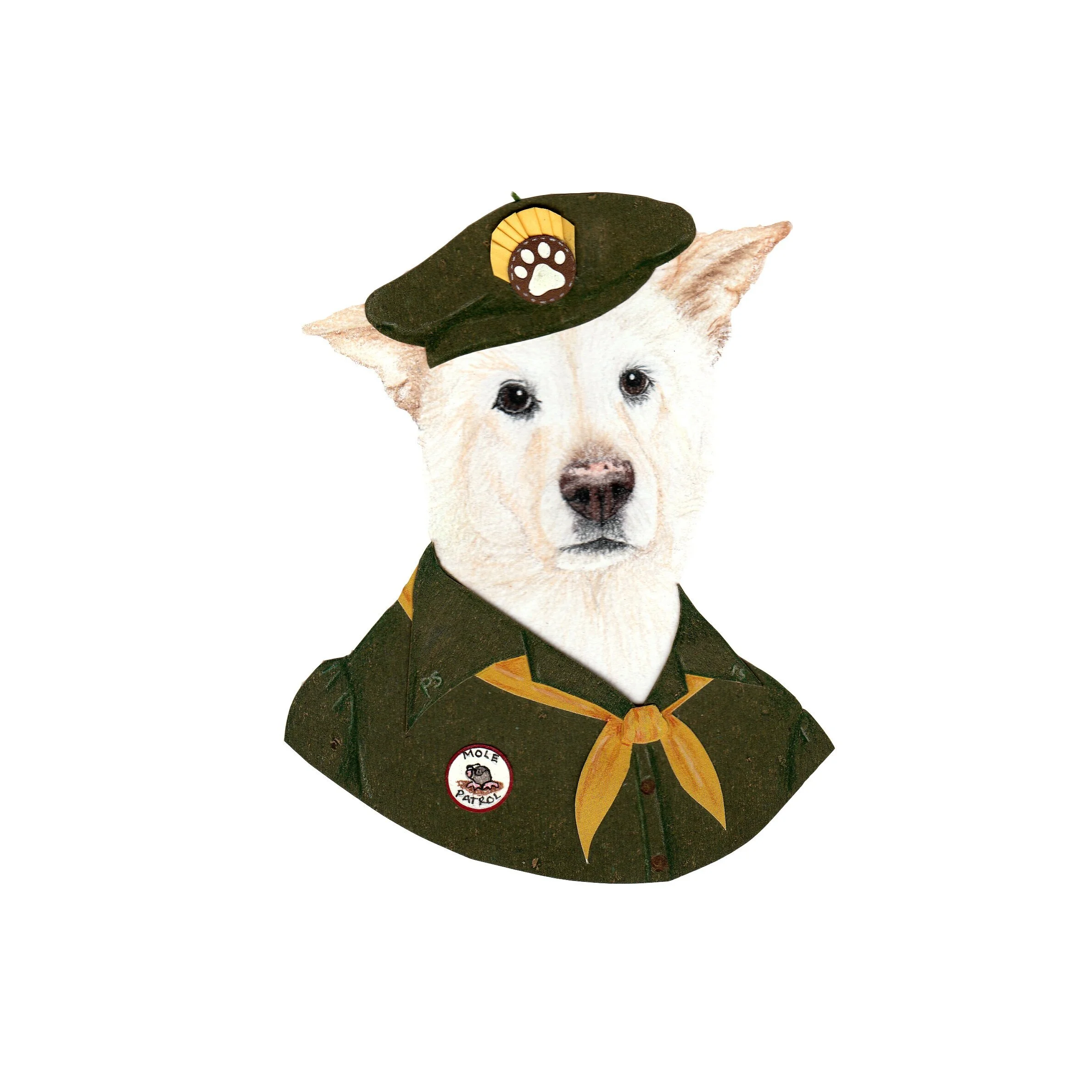 Pet Portraits