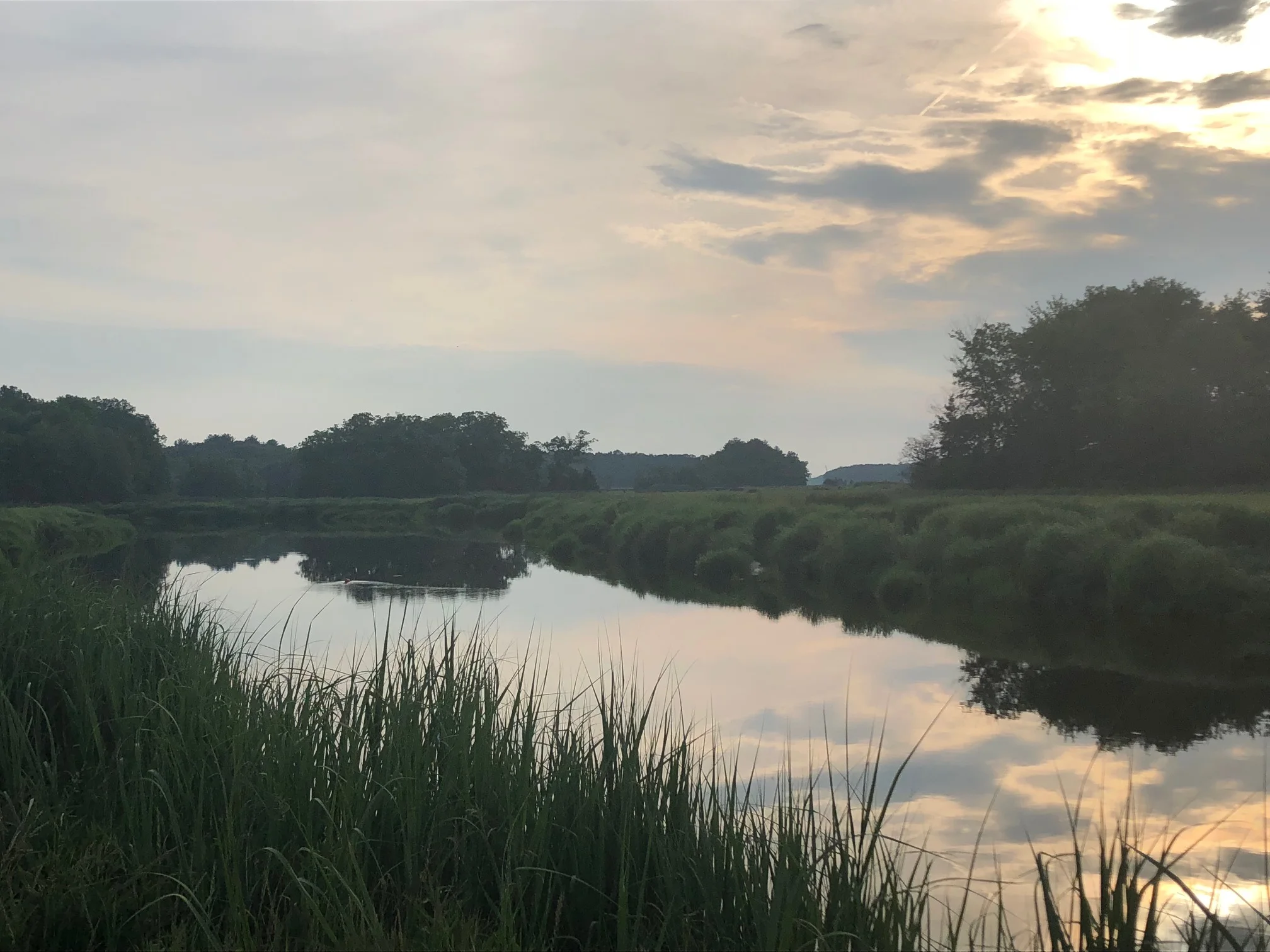 A July Walk