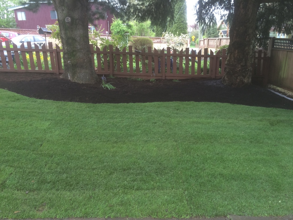 frontyard sod, mulch