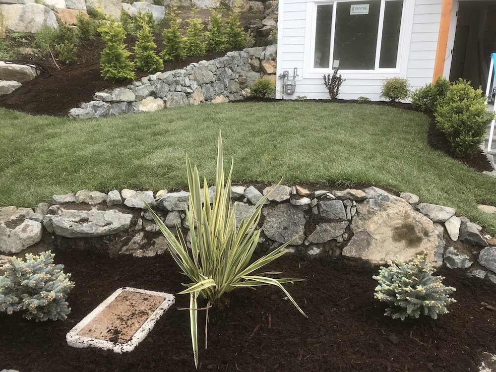 front landscaping - lost lake road nanaimo