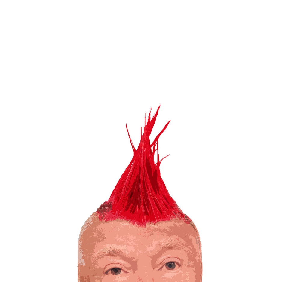 TRUMP_PUNK_bb.jpg