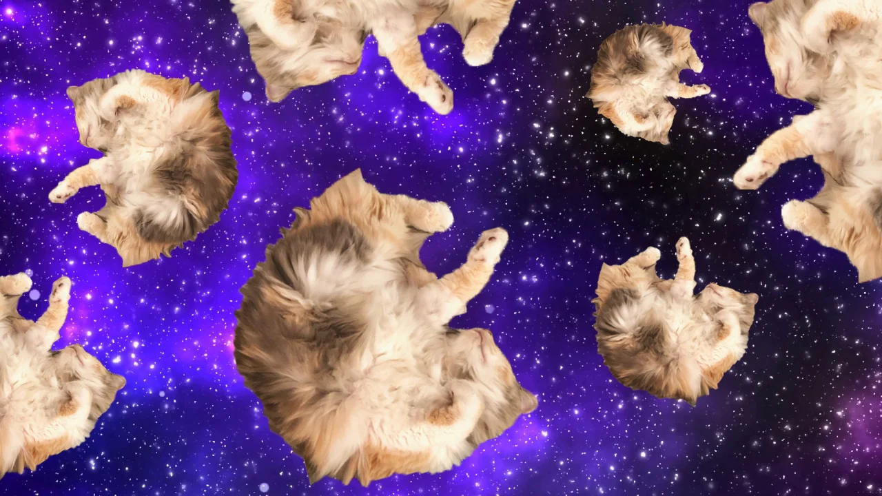 Mon Desktop.jpg