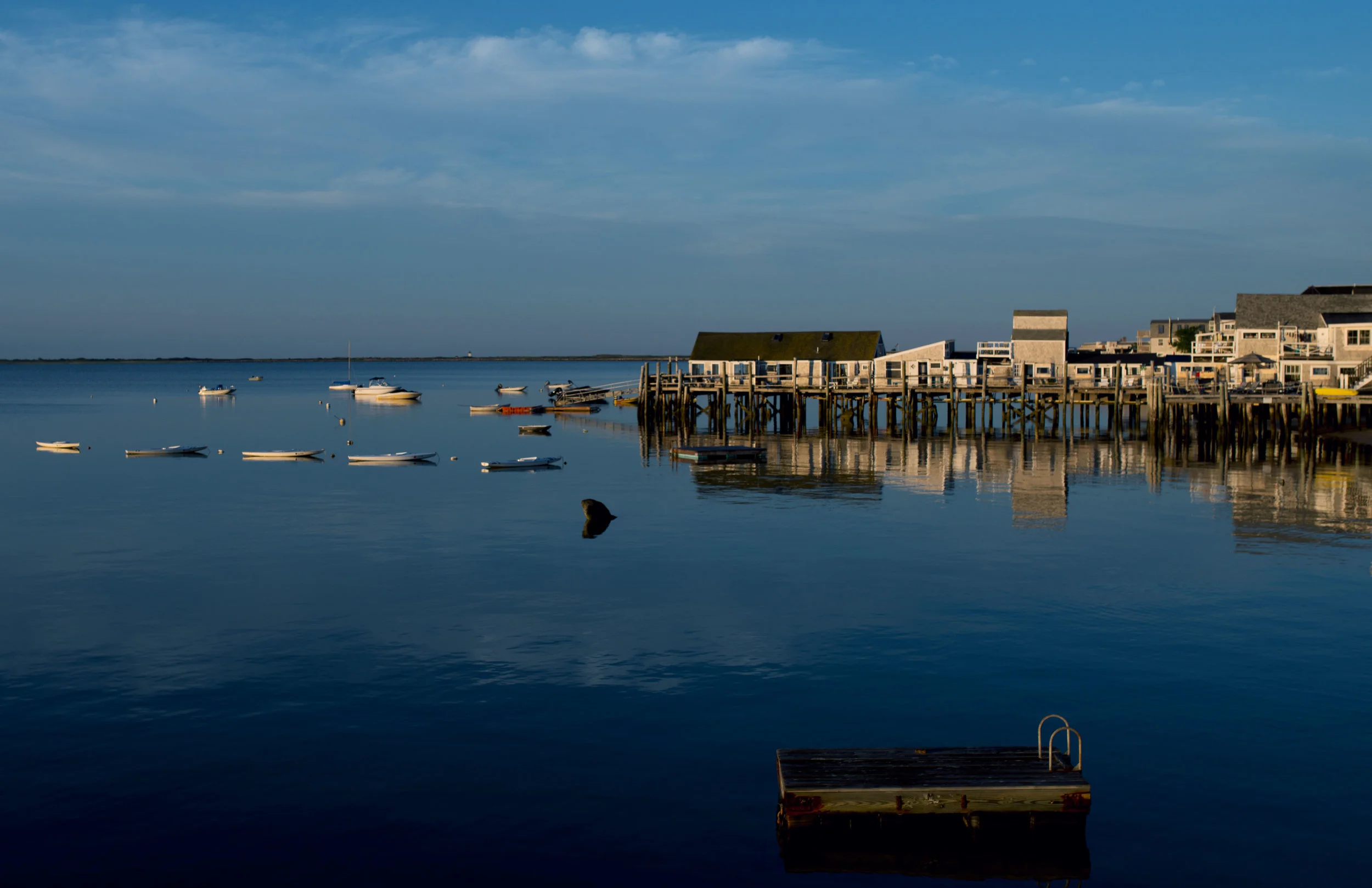 croppedDSC_0320.jpg