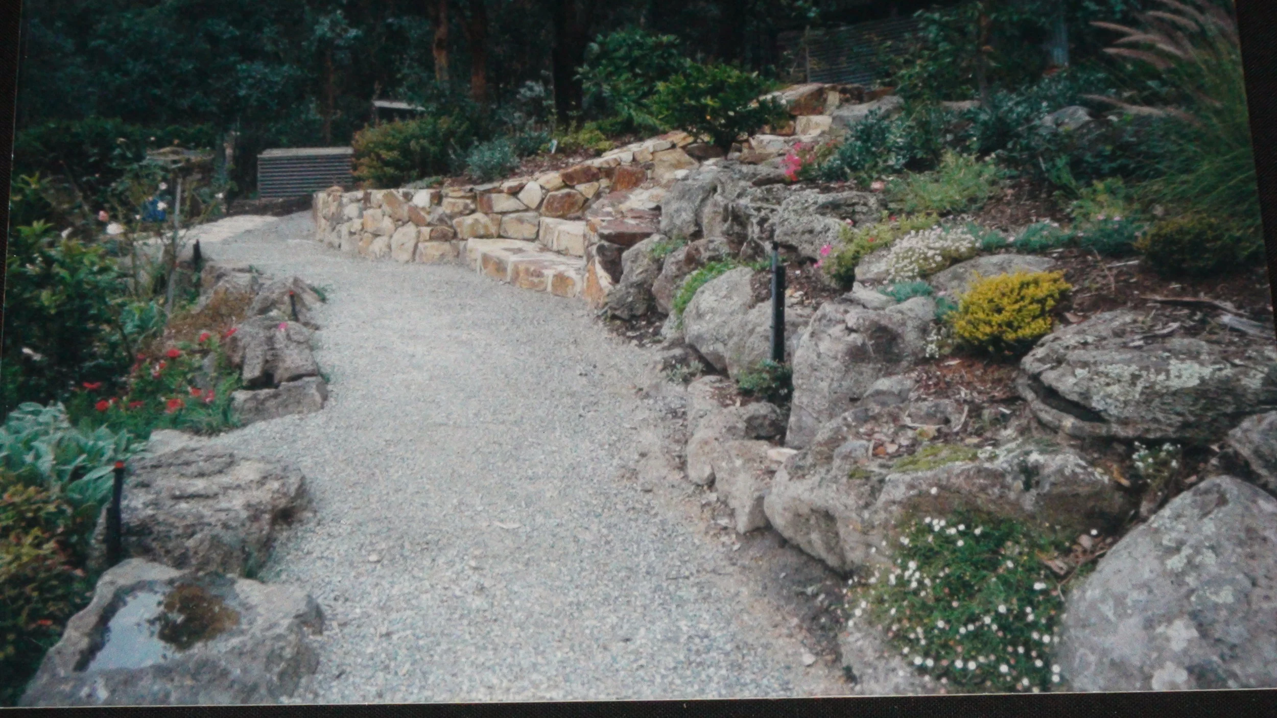 DSC00090.jpg