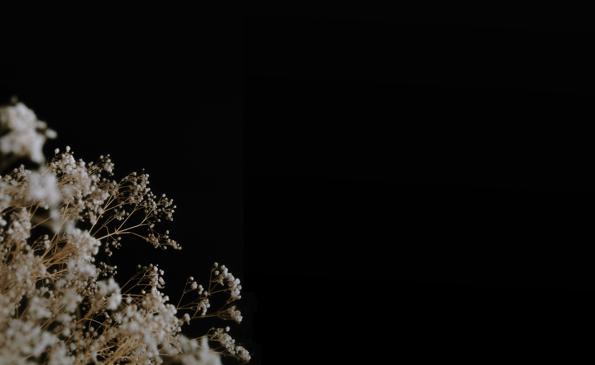 edvinasbruzas-website-background-image-1.jpg