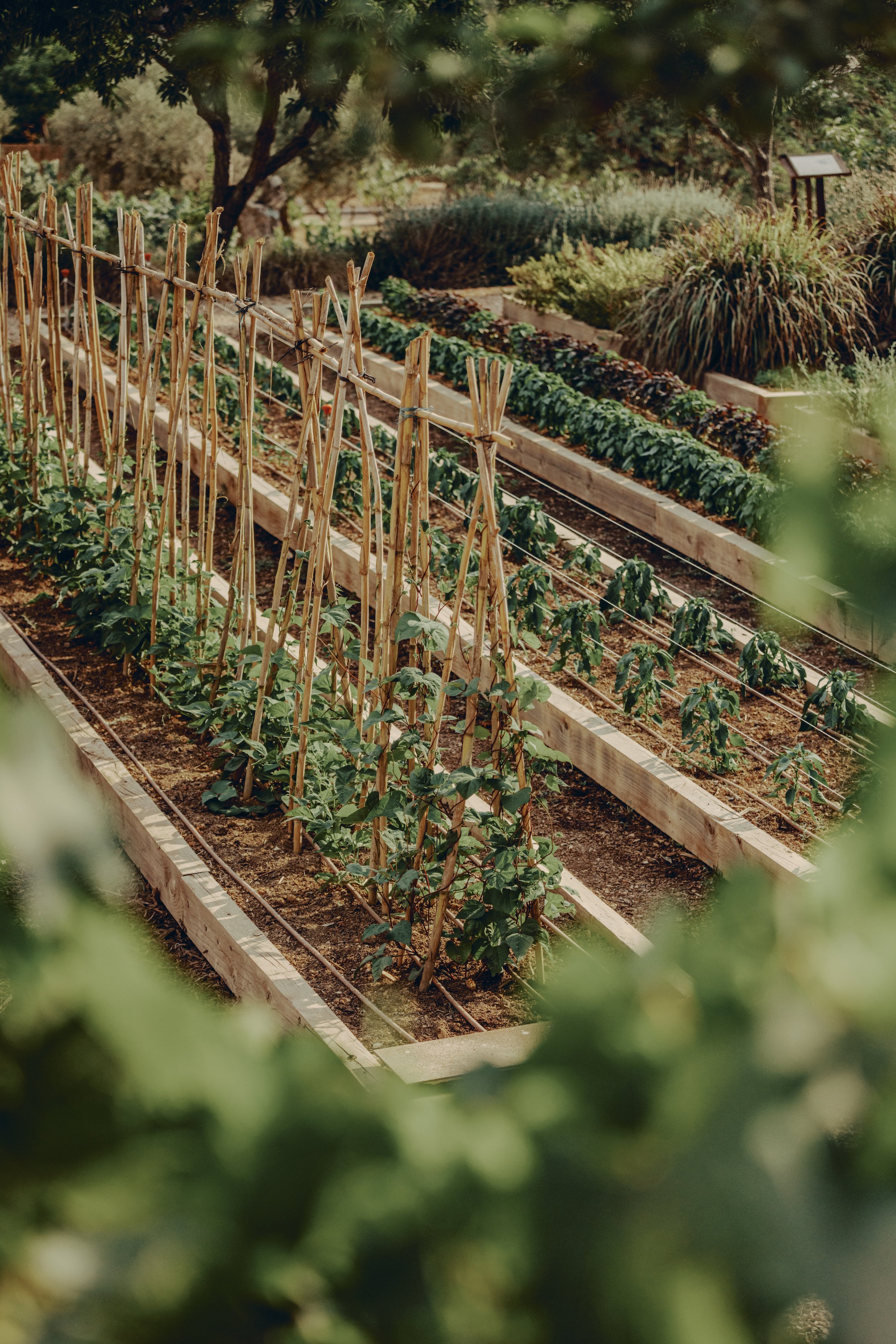 SH_Farmhouse_Ibiza_EdvinasBruzas_250628_HighRes_84.jpg