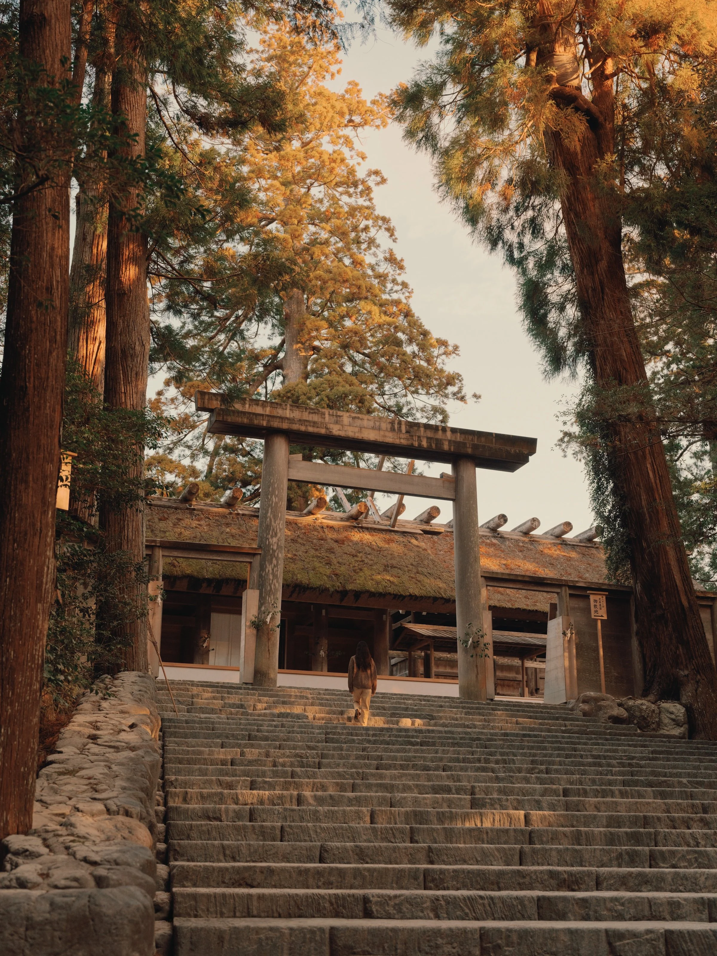 Amanemu_DSCF4525.jpg