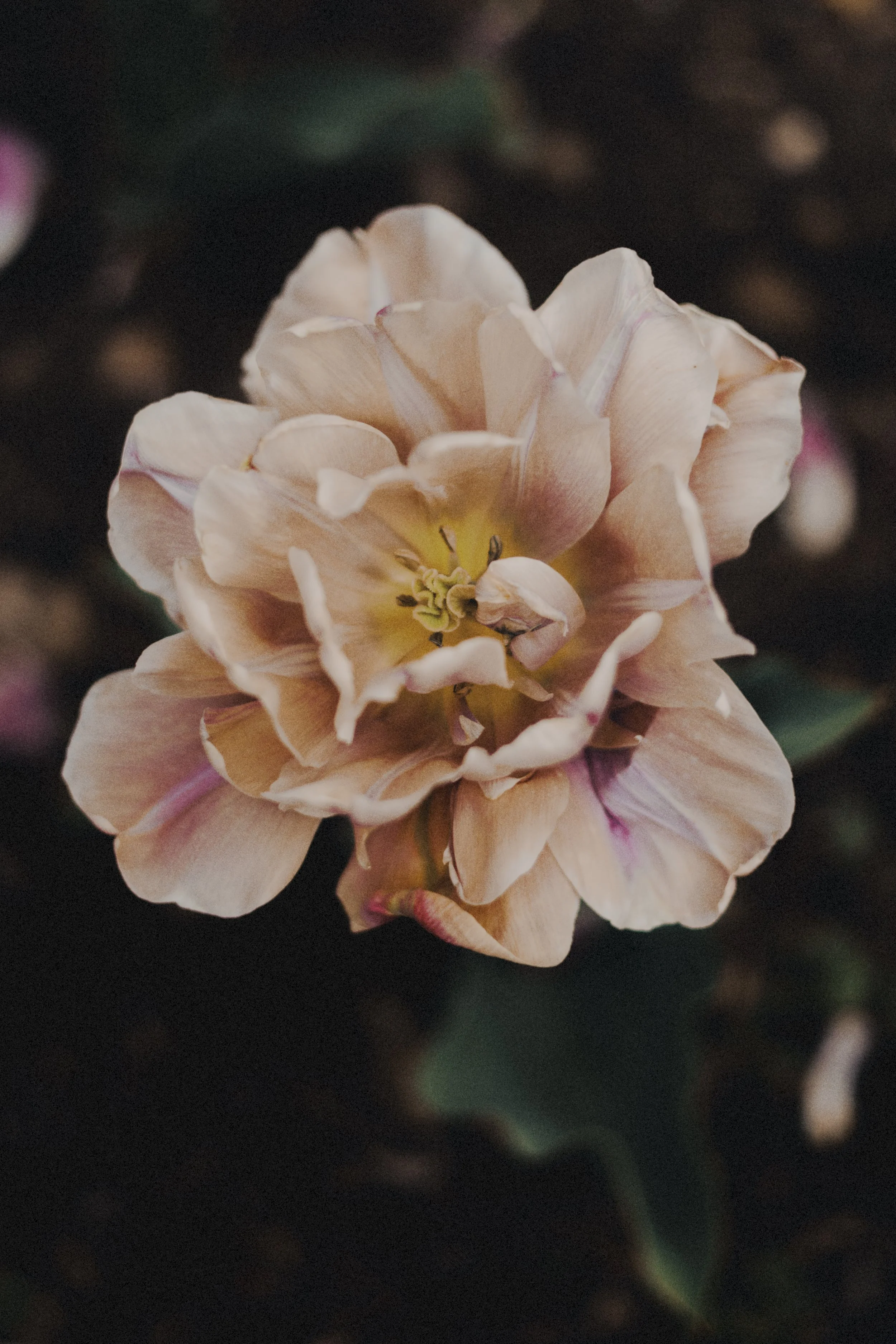 SH_Farmhouse_EdvinasBruzas_241106_HighRes-037 copy.jpg