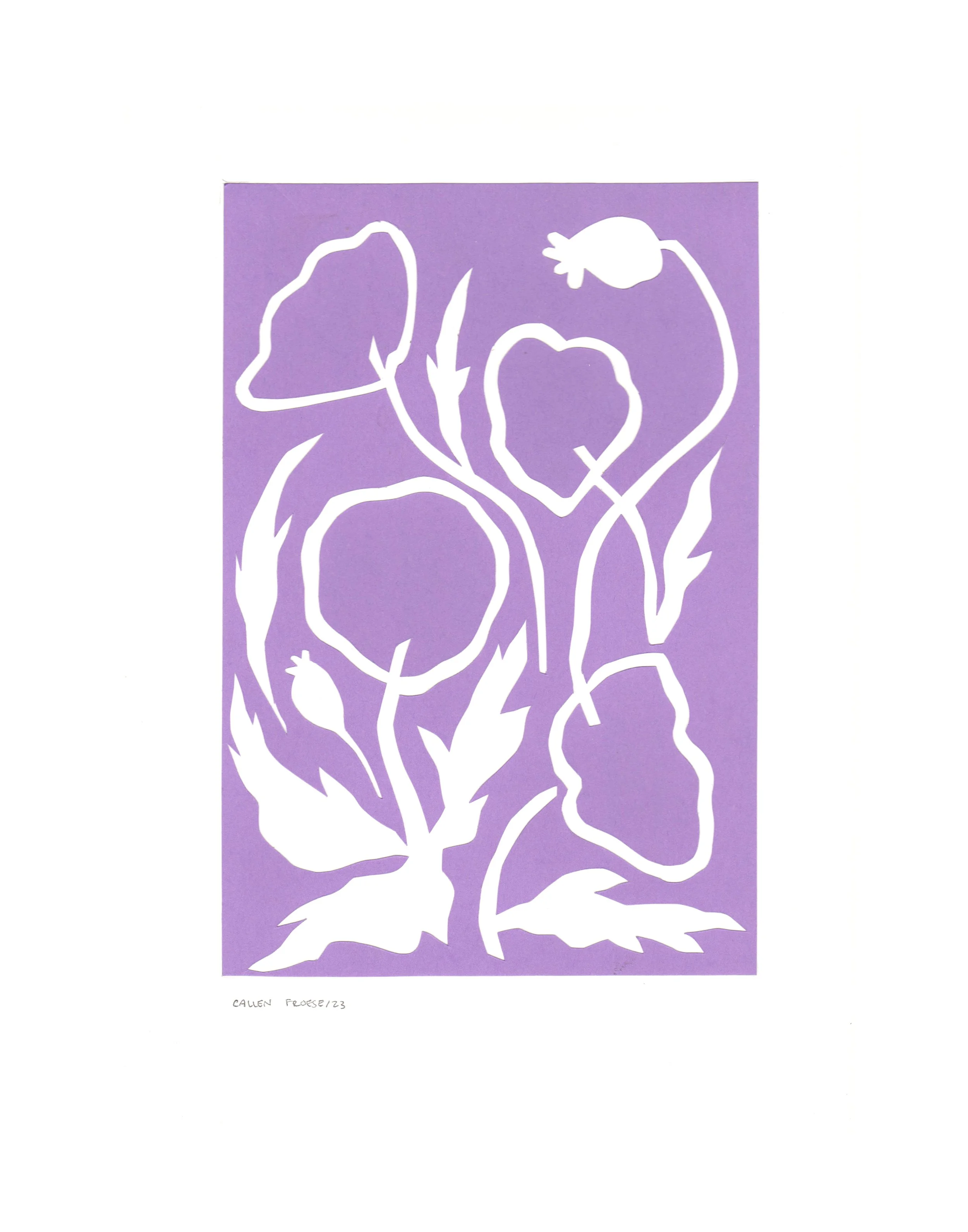 PurpleFlowers4.jpg