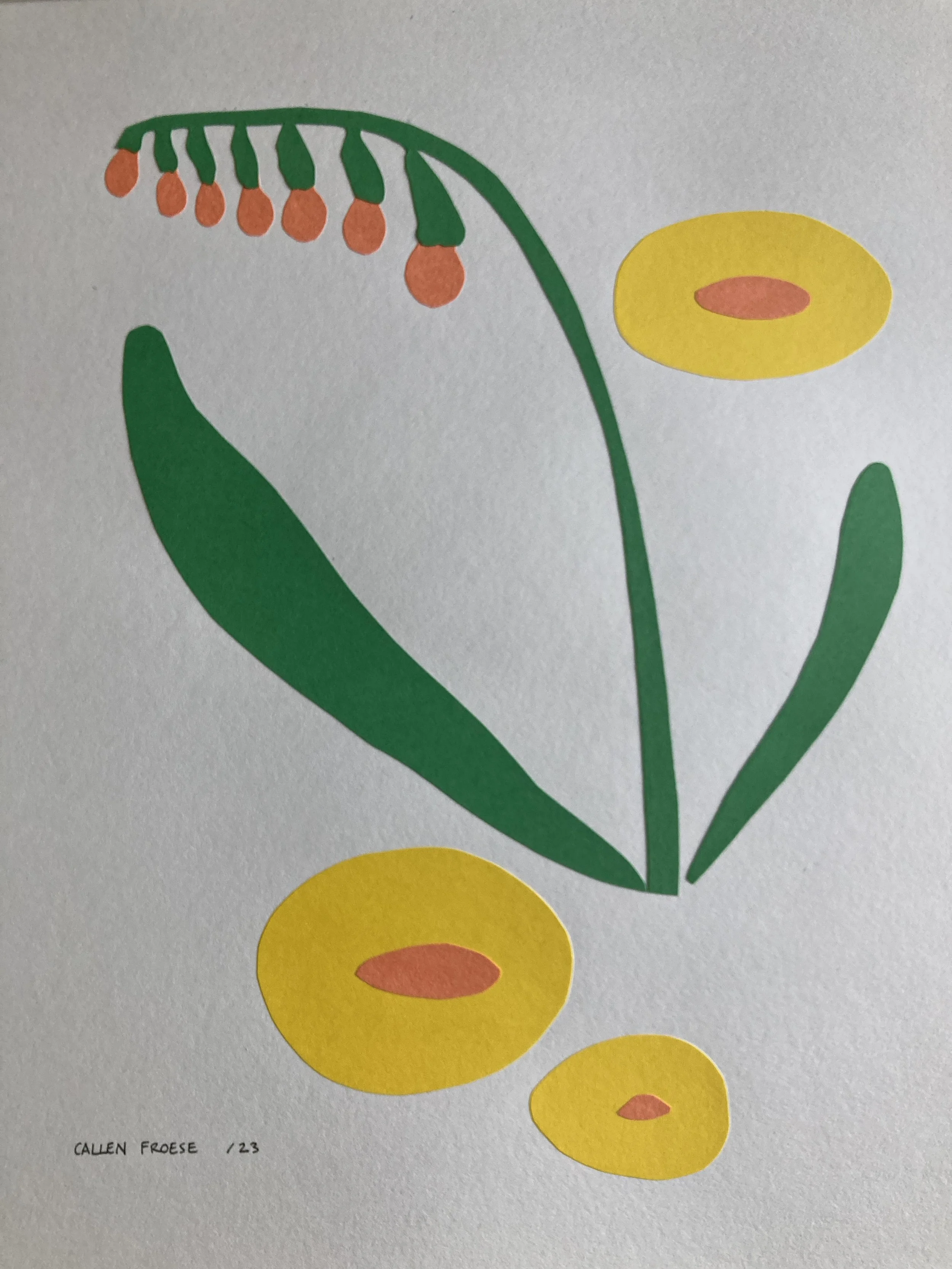 FlowerCollage1.jpeg