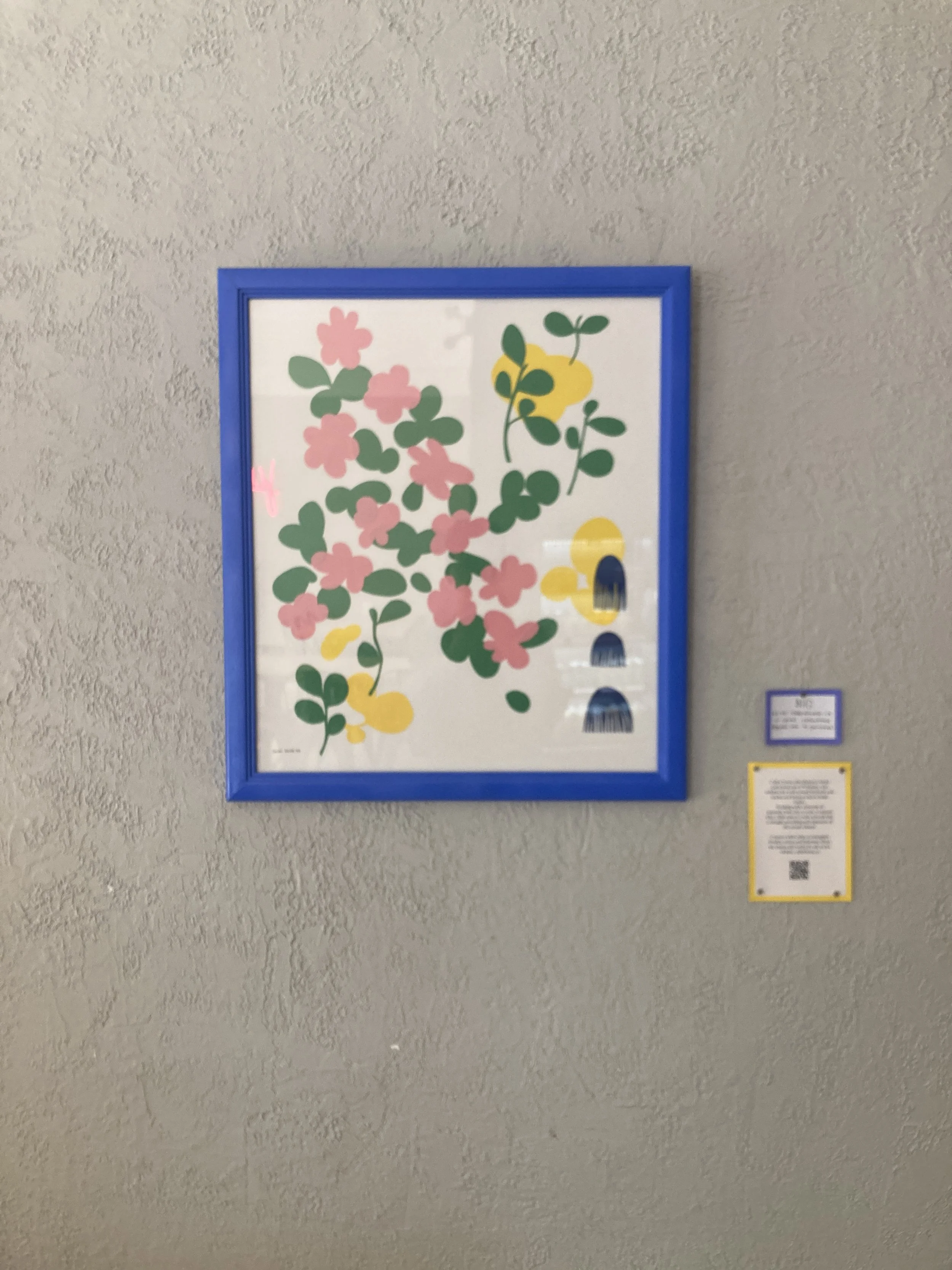 IMG_6687.jpeg