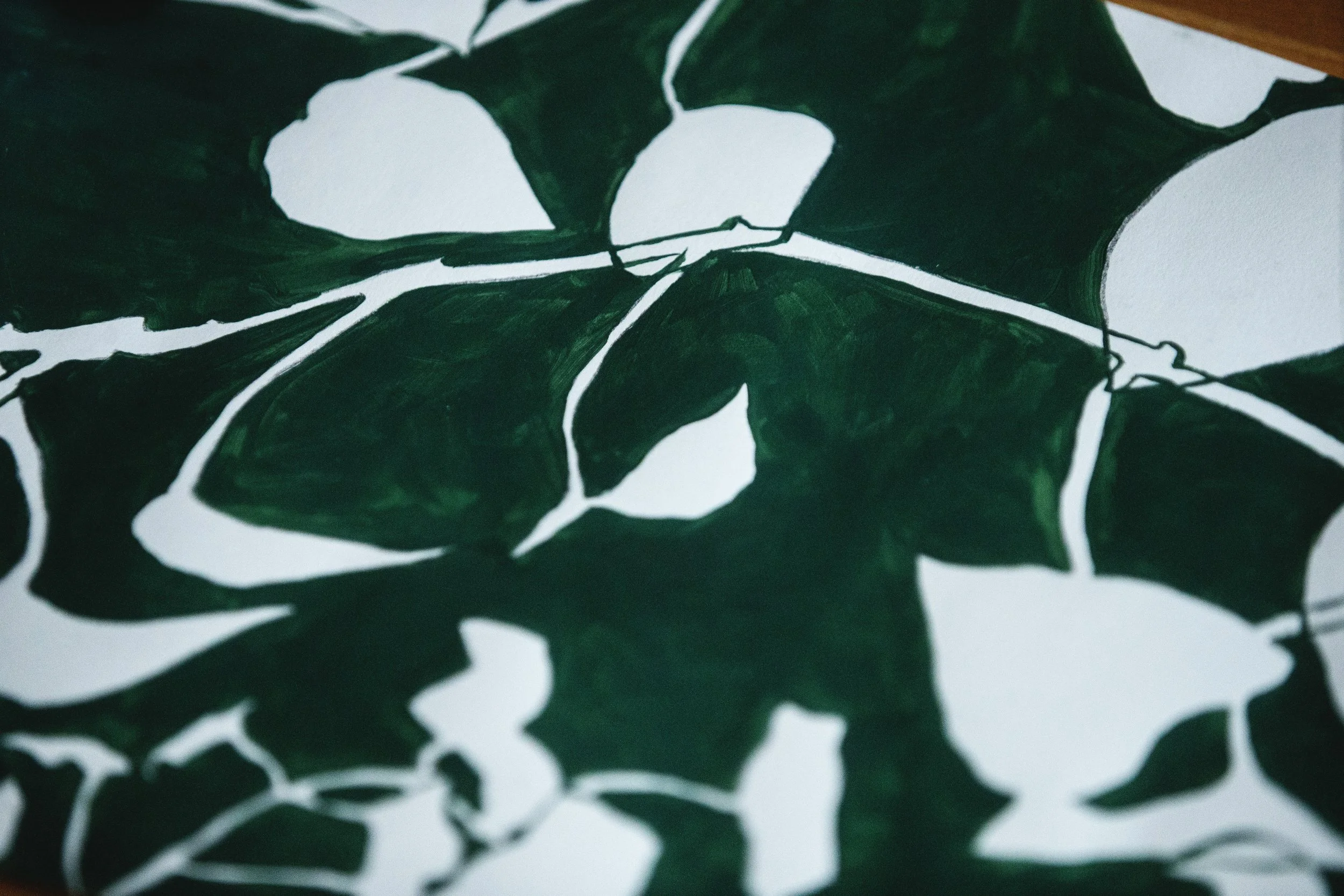 Botanical Shadow Painting Workshop