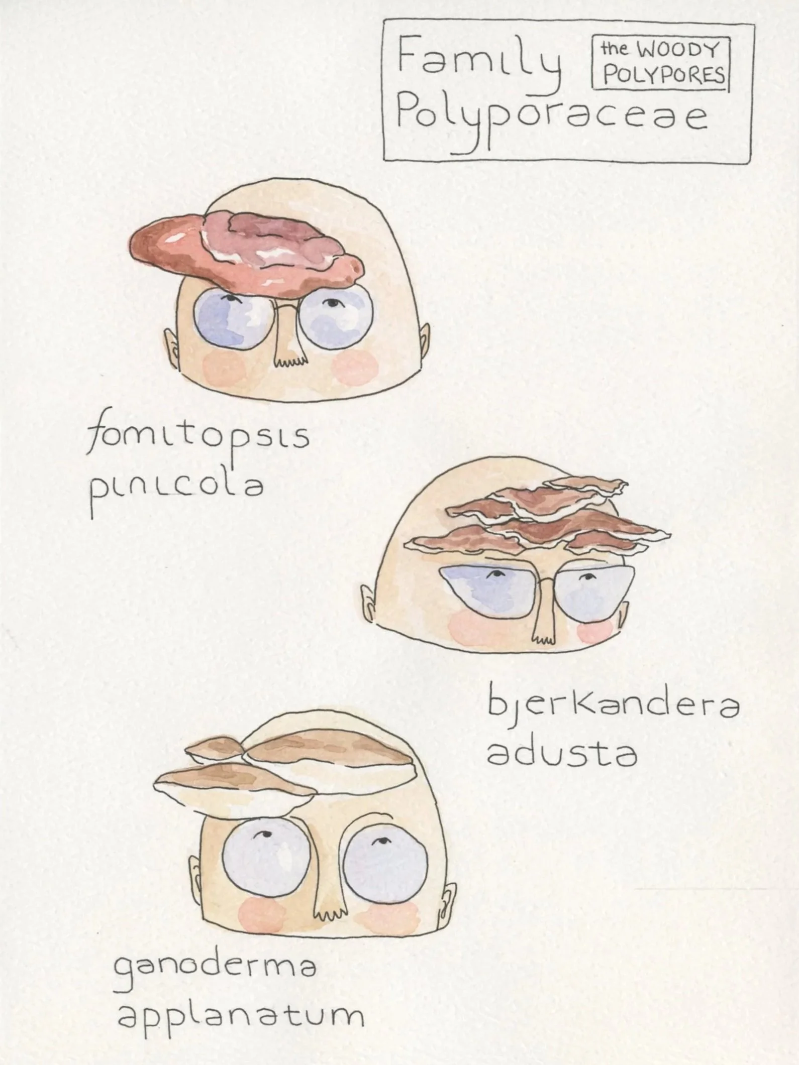 Mushies1001.jpg