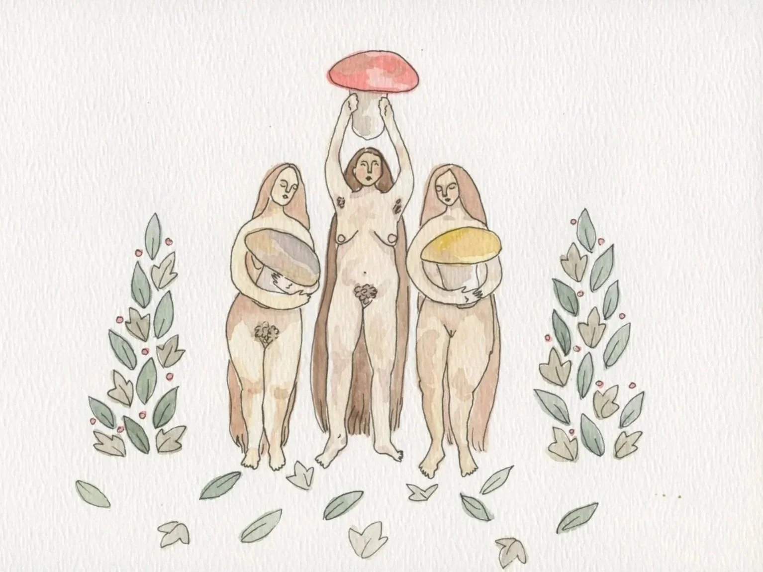 Mushies1005.jpg